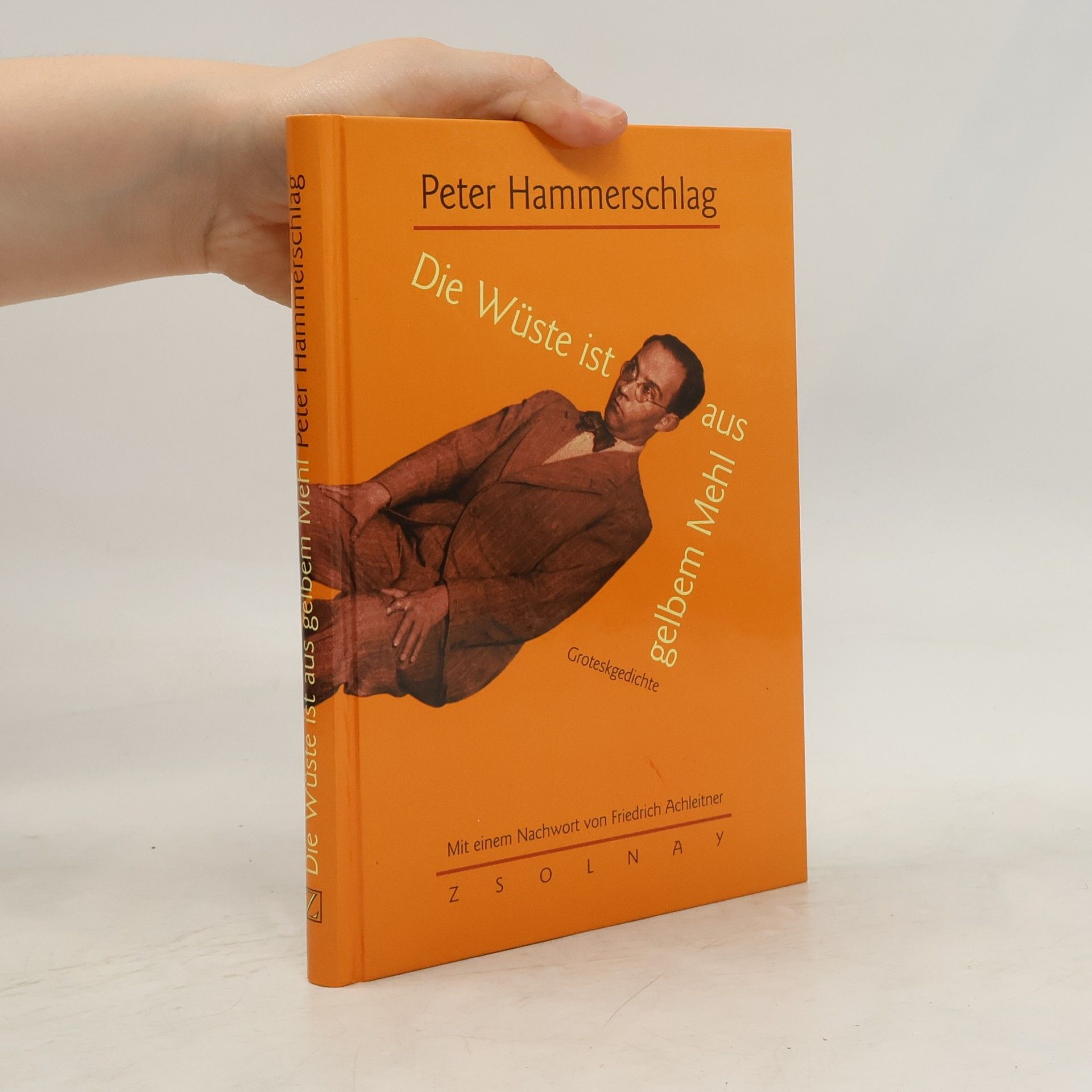 Peter Hammerschlag Die Wüste ist aus gelbem Mehl