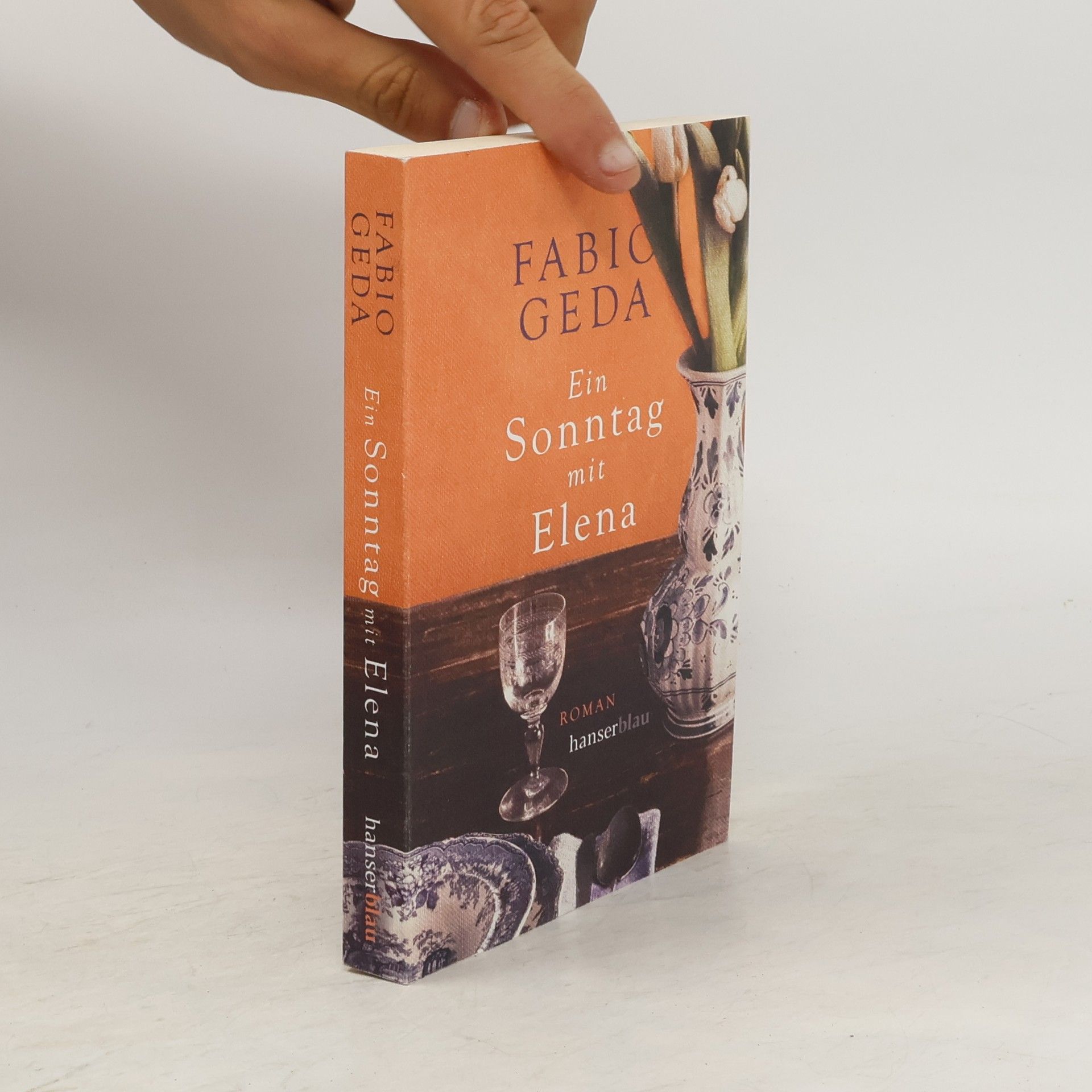 Fabio Geda Ein Sonntag mit Elena