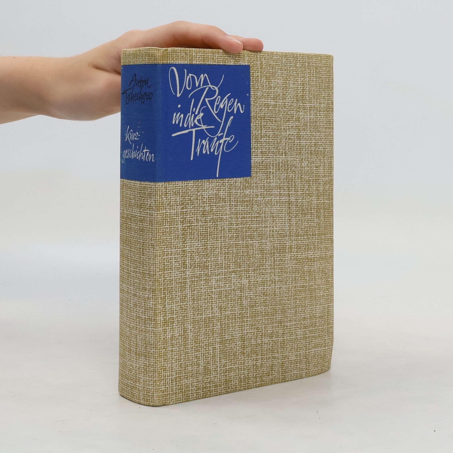 Anton Pawlowitsch Tschechow Vom Regen in die Traufe