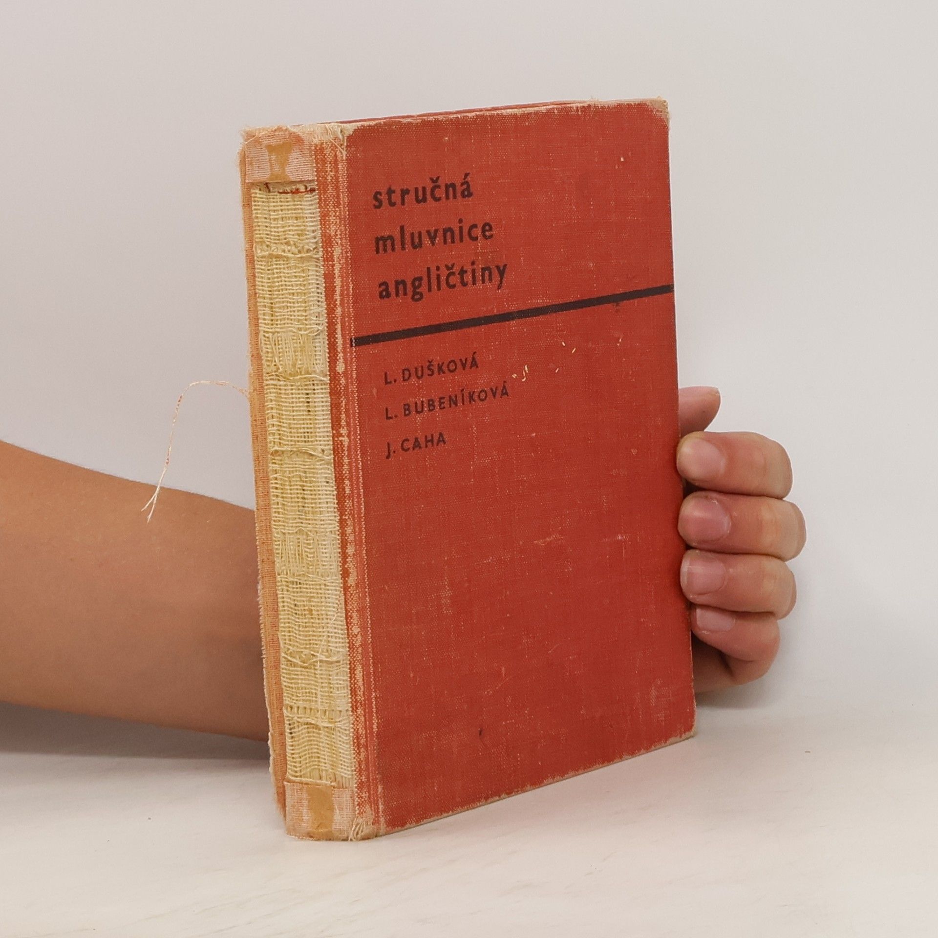 Autores varios Stručná mluvnice angličtiny