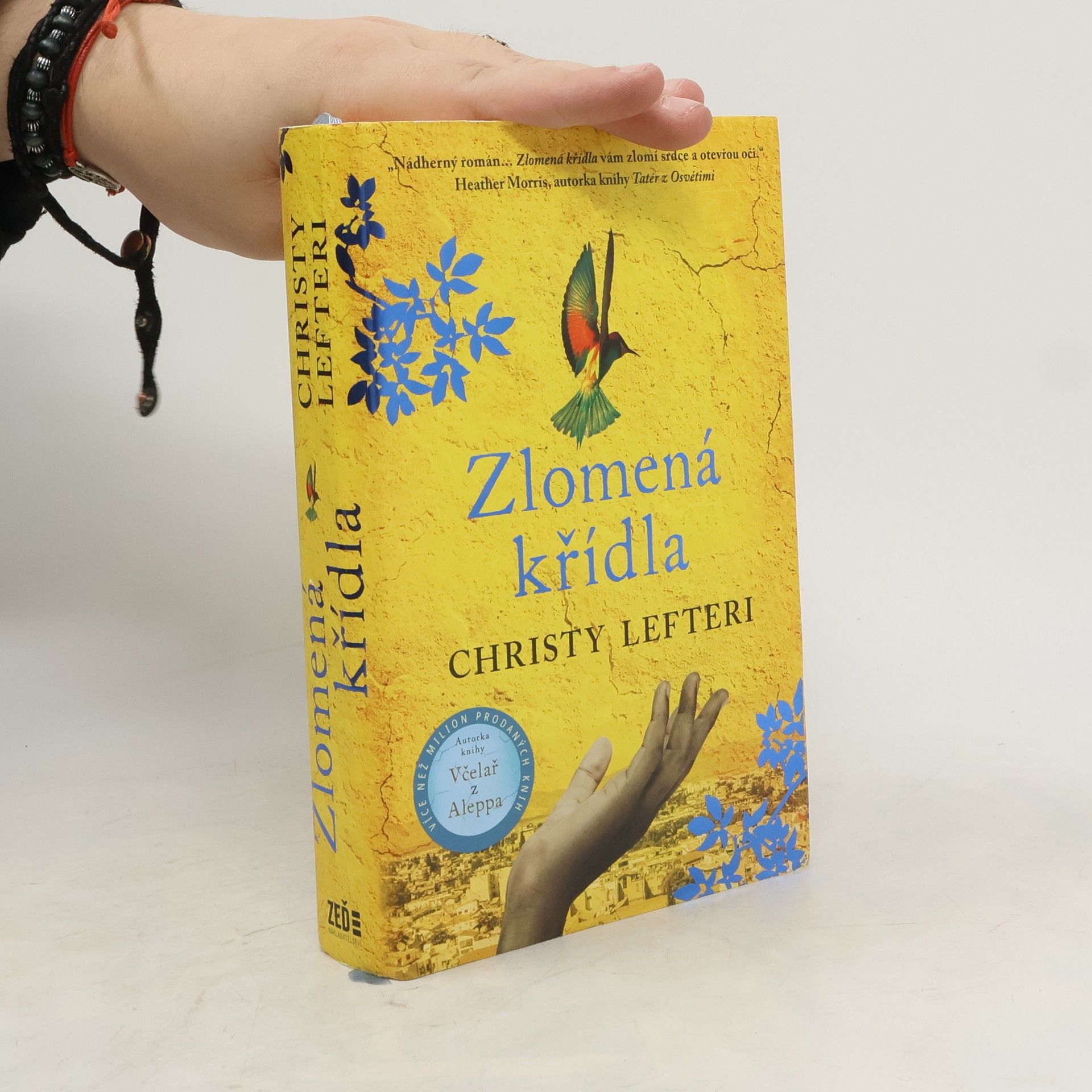 David Weiner Zlomená křídla