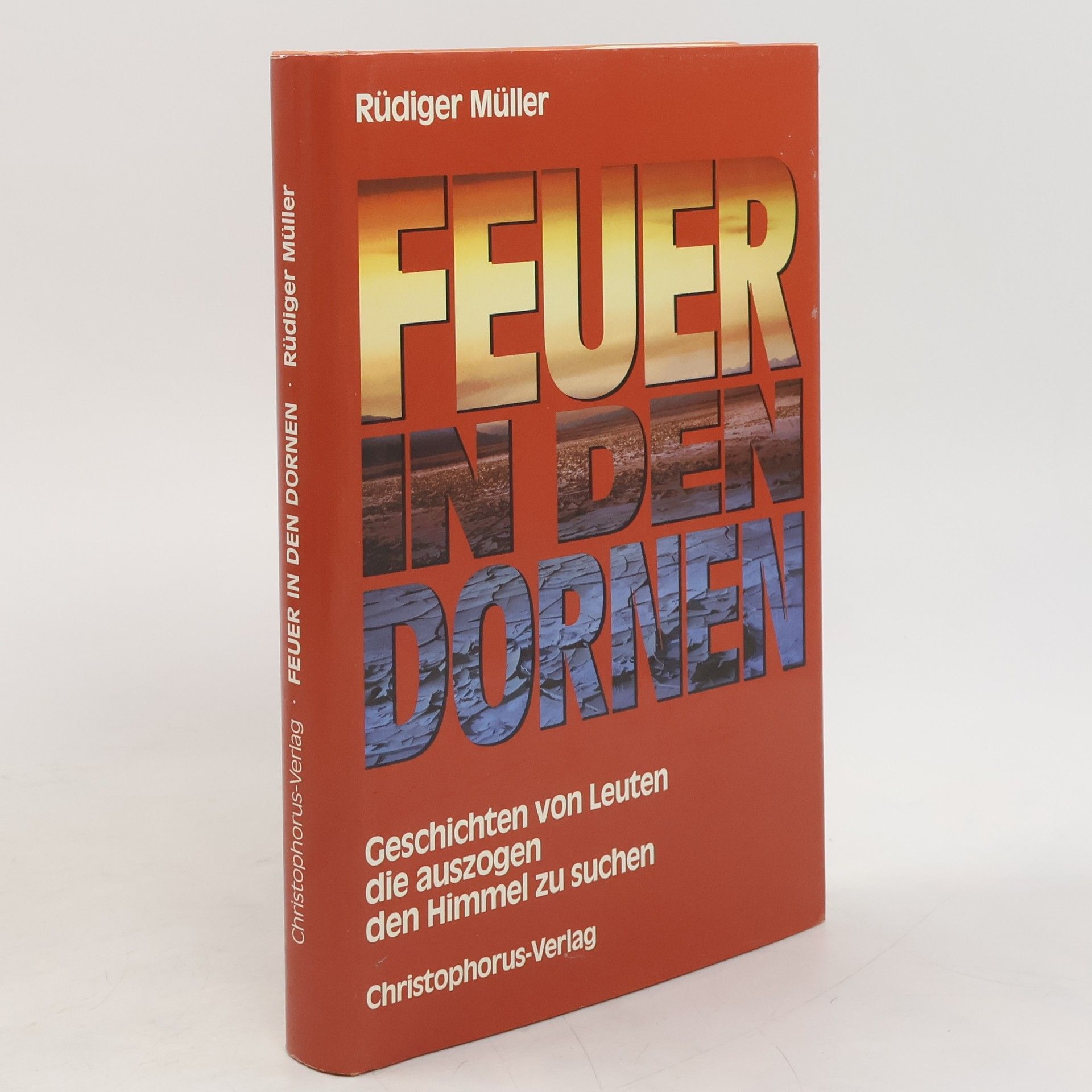 Rüdiger Müller Feuer in den Dornen
