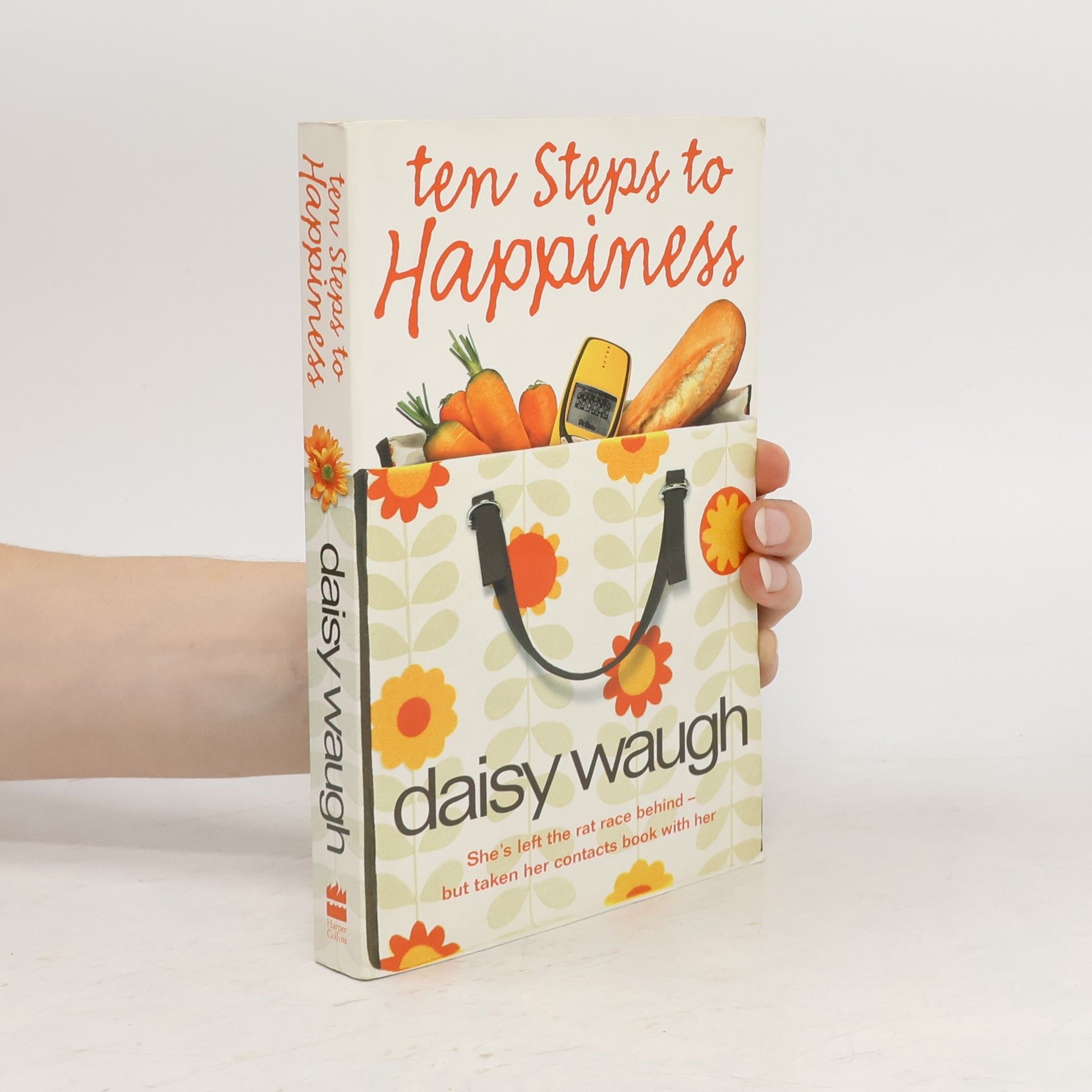 Daisy Waugh Ten Steps to Happiness
