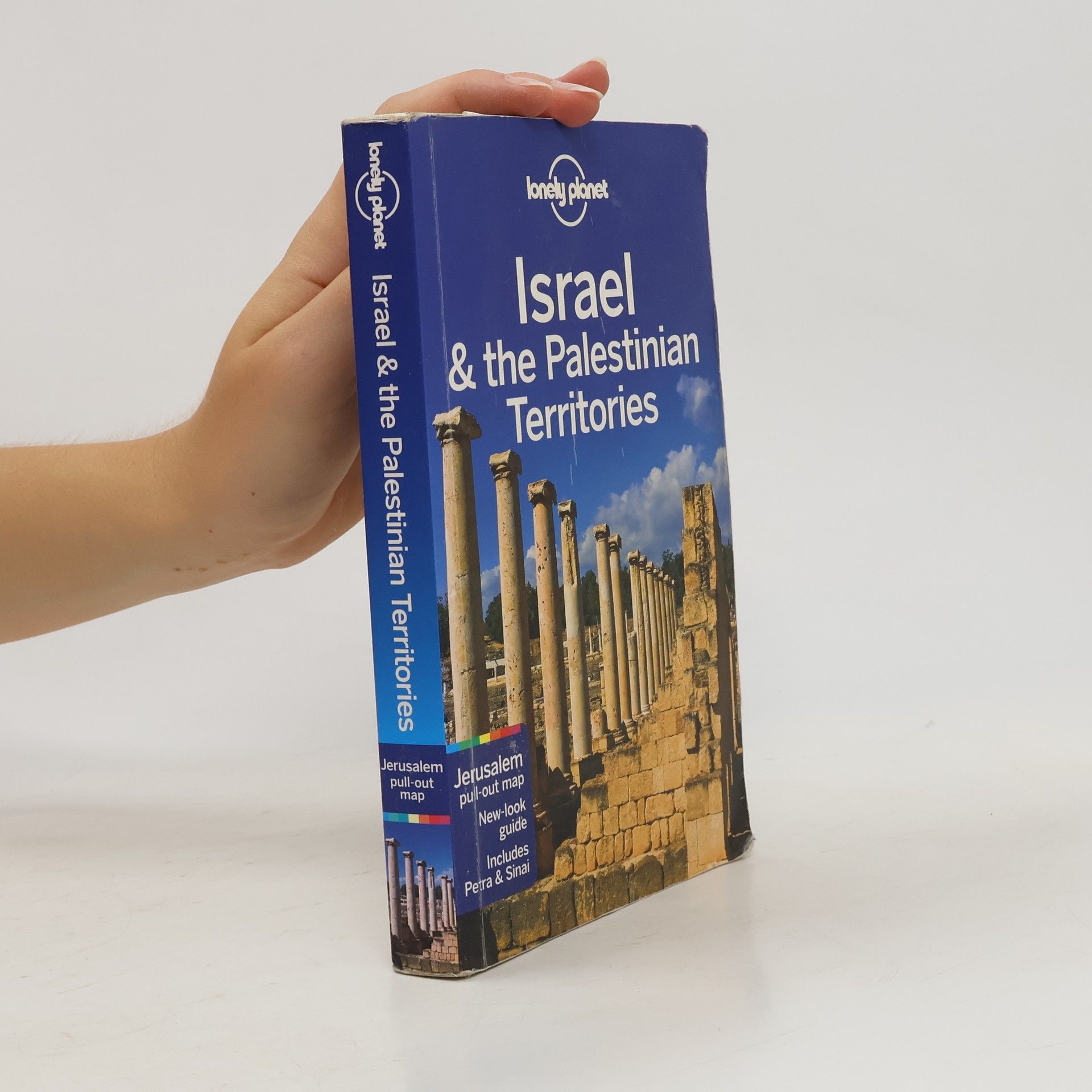 Daniel Robinson Israel & the Palestinian Territories.