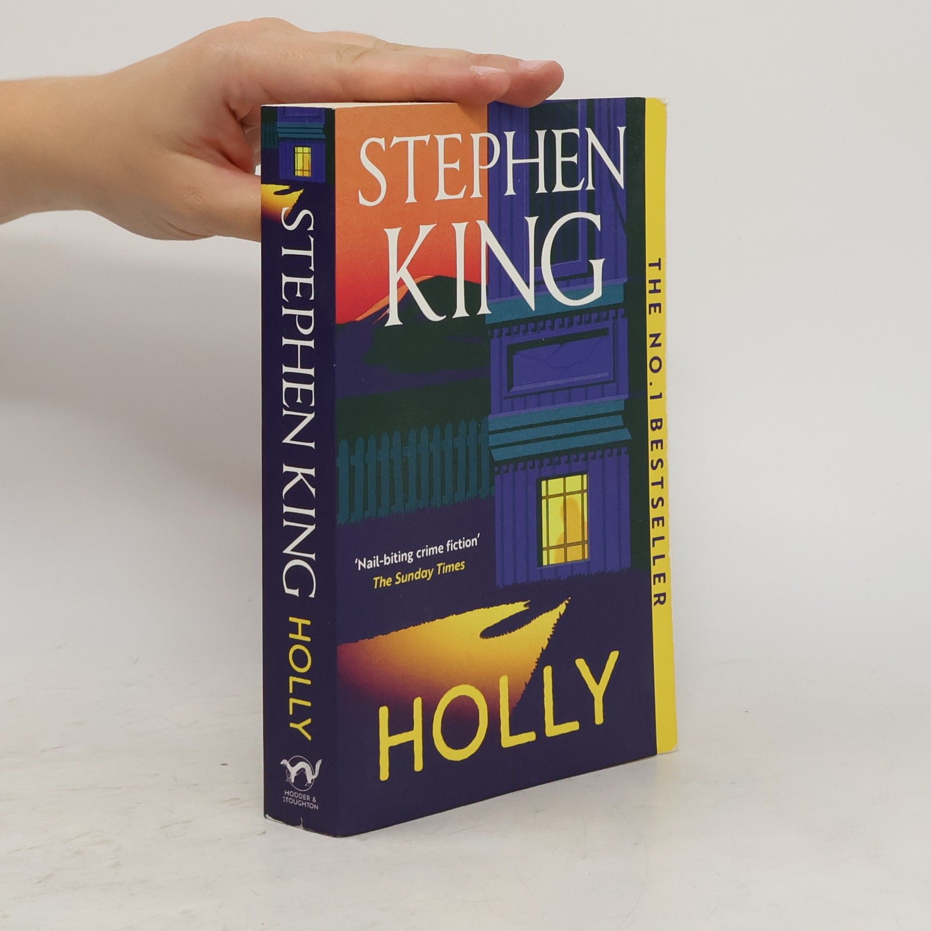Stephen King Holly