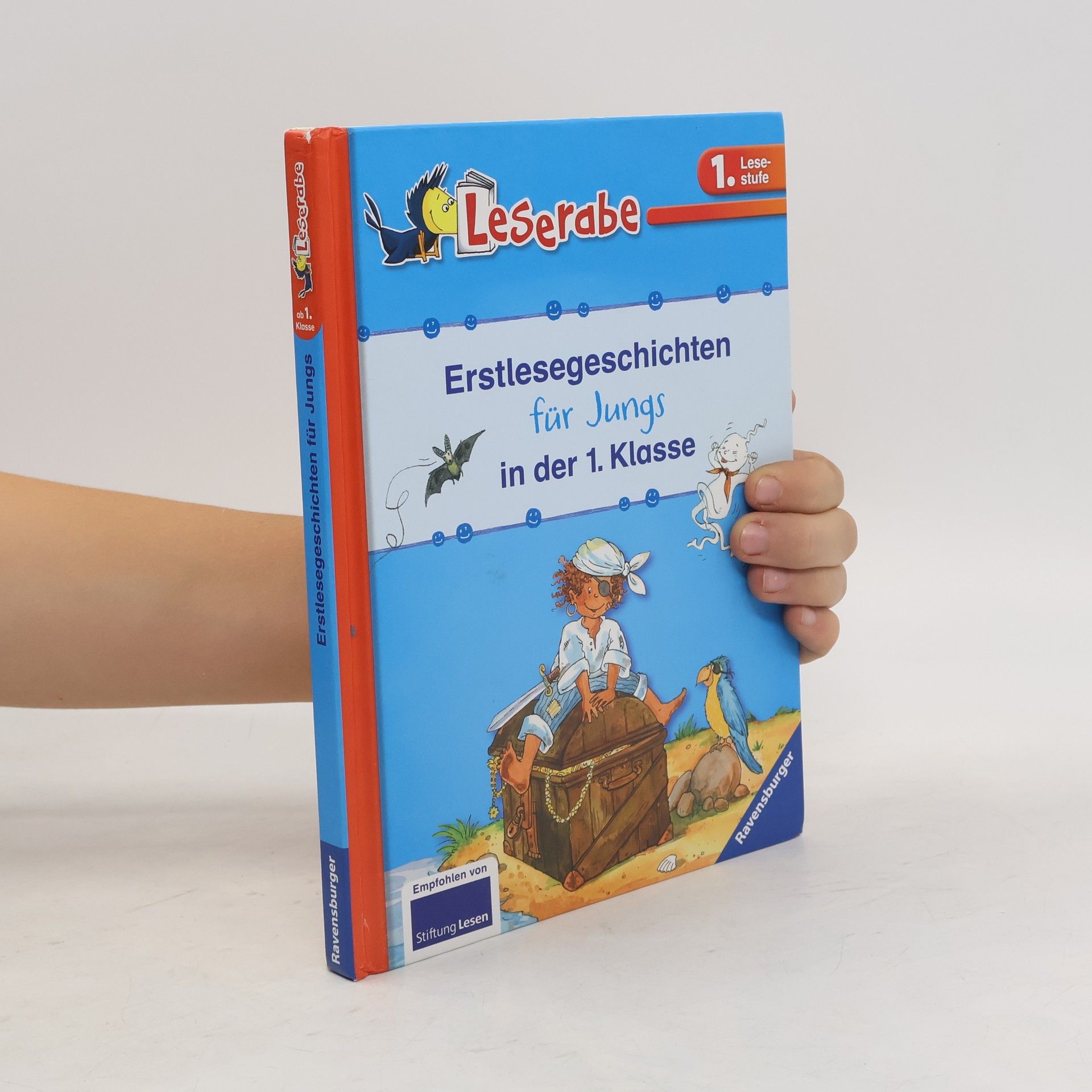 Silke Voigt Erstlesegeschichten für Jungs in der 1. Klasse