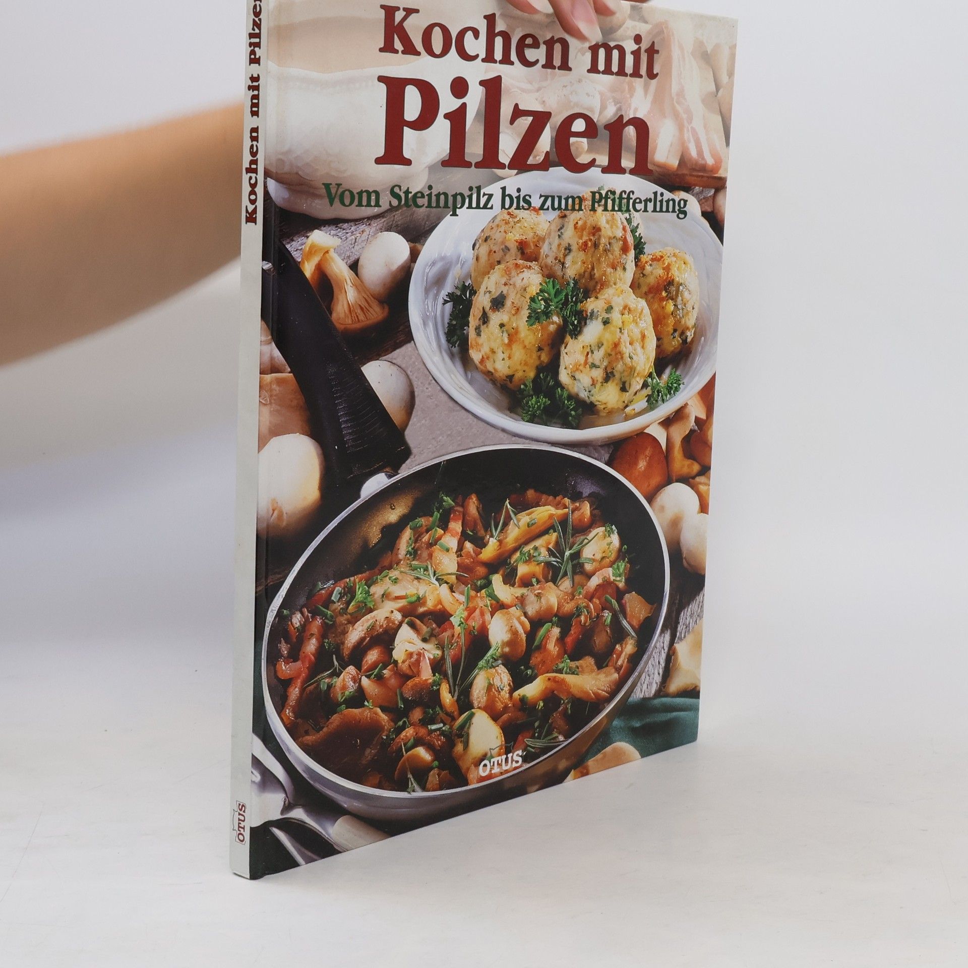 Autorenkollektiv Kochen mit Pilzen