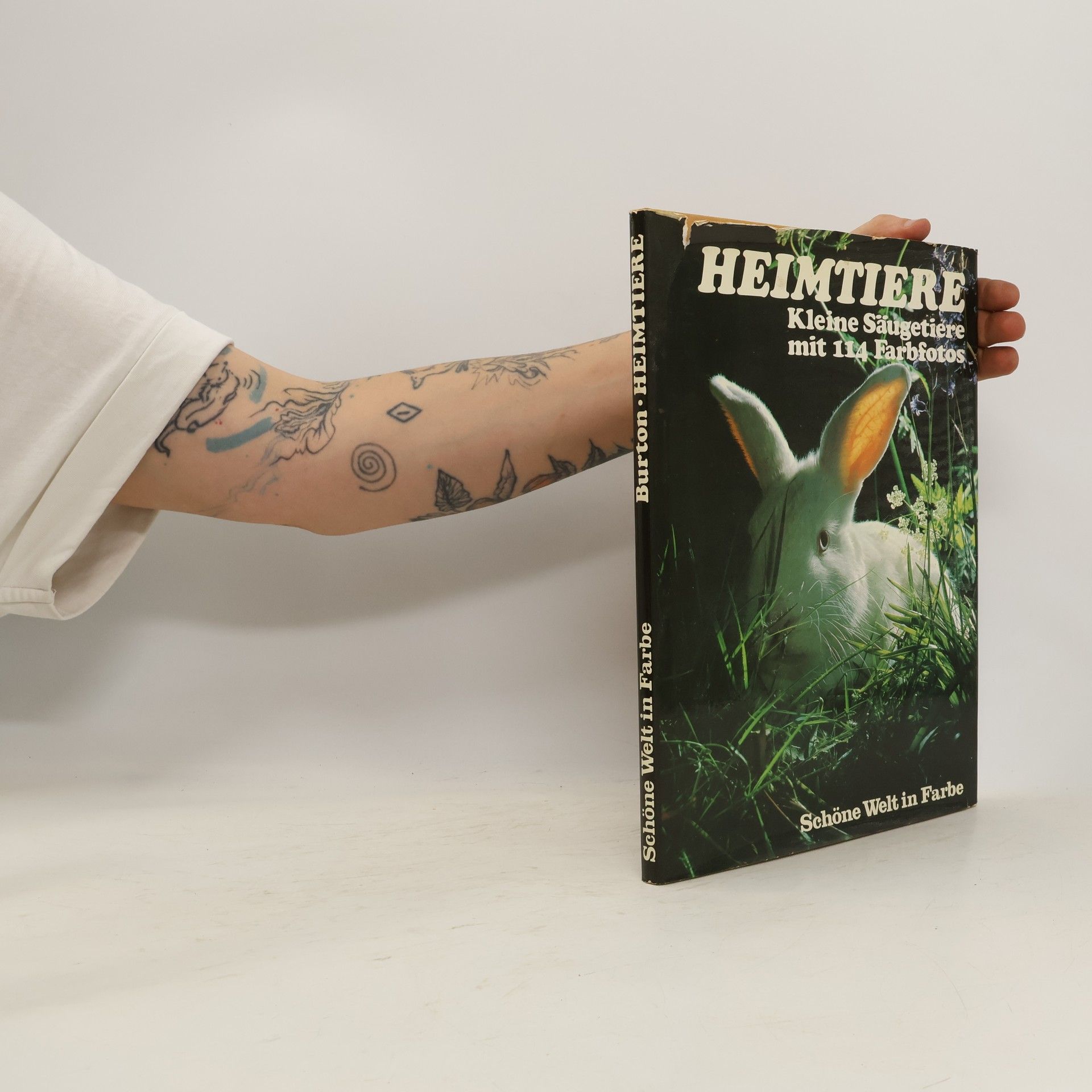 Autorenkollektiv Schöne Welt in Farbe. Heimtiere