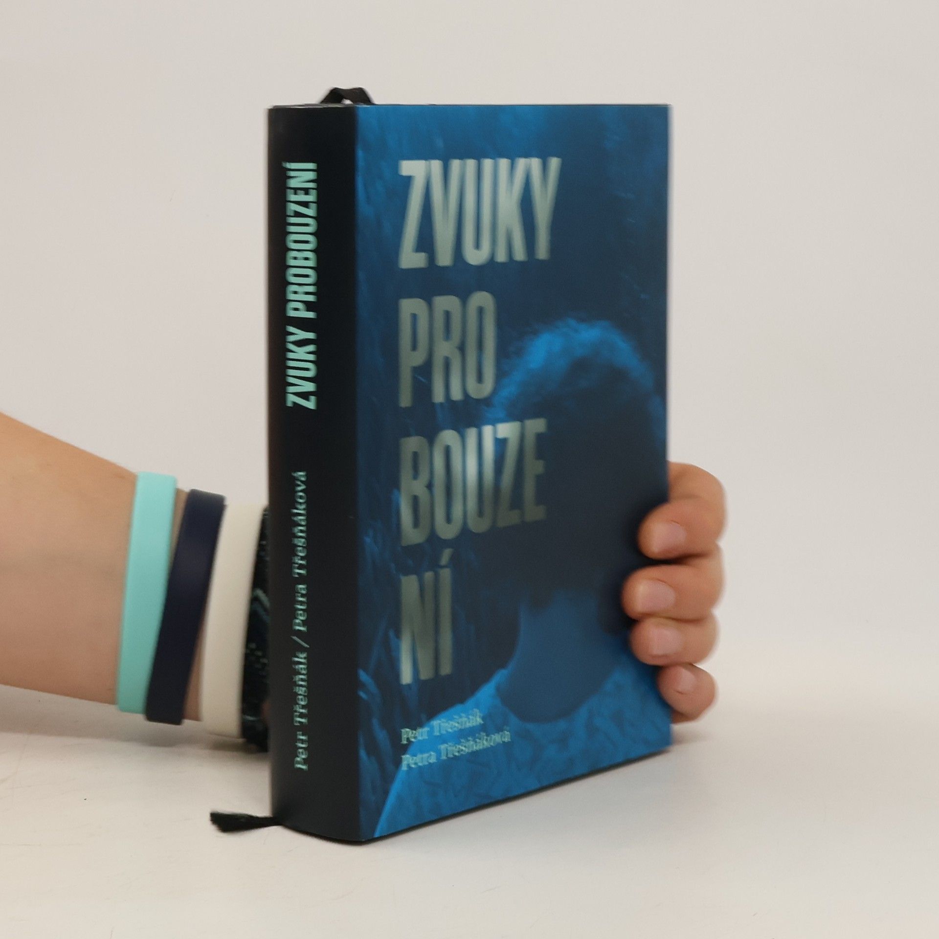 Petr Třešňák Zvuky probouzení