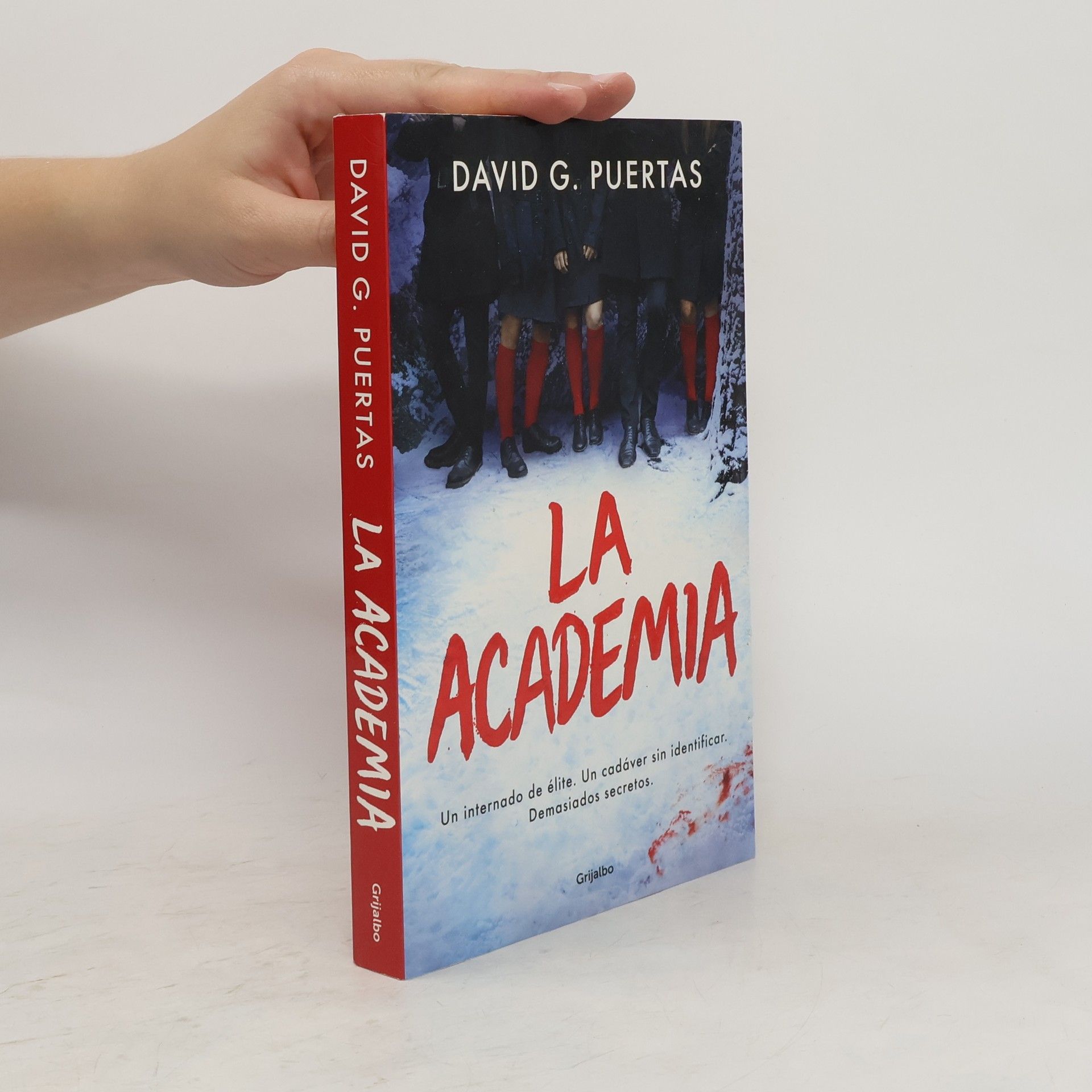 David G Puertas La Academia