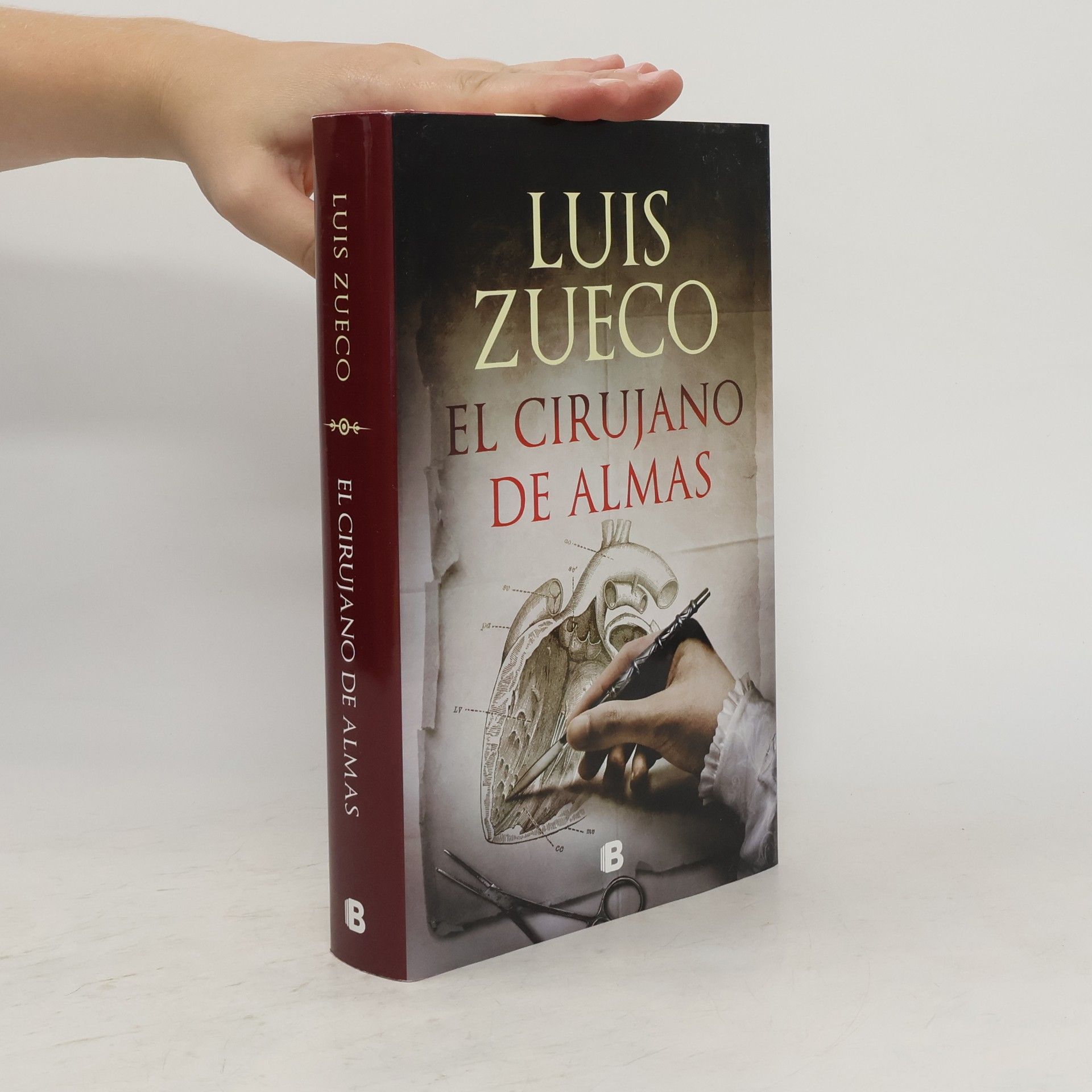 Luis Sueco El Cirujano de Las Almas / The Surgeon of Souls