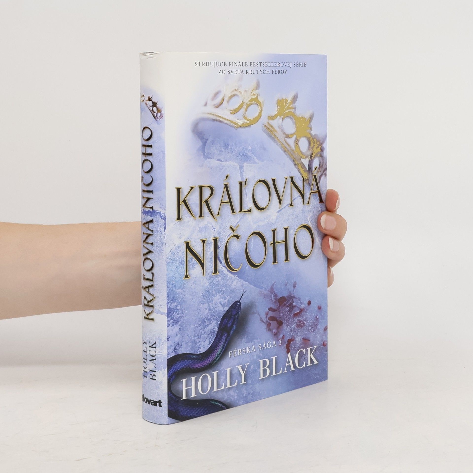 Holly Black Kráľovná ničoho
