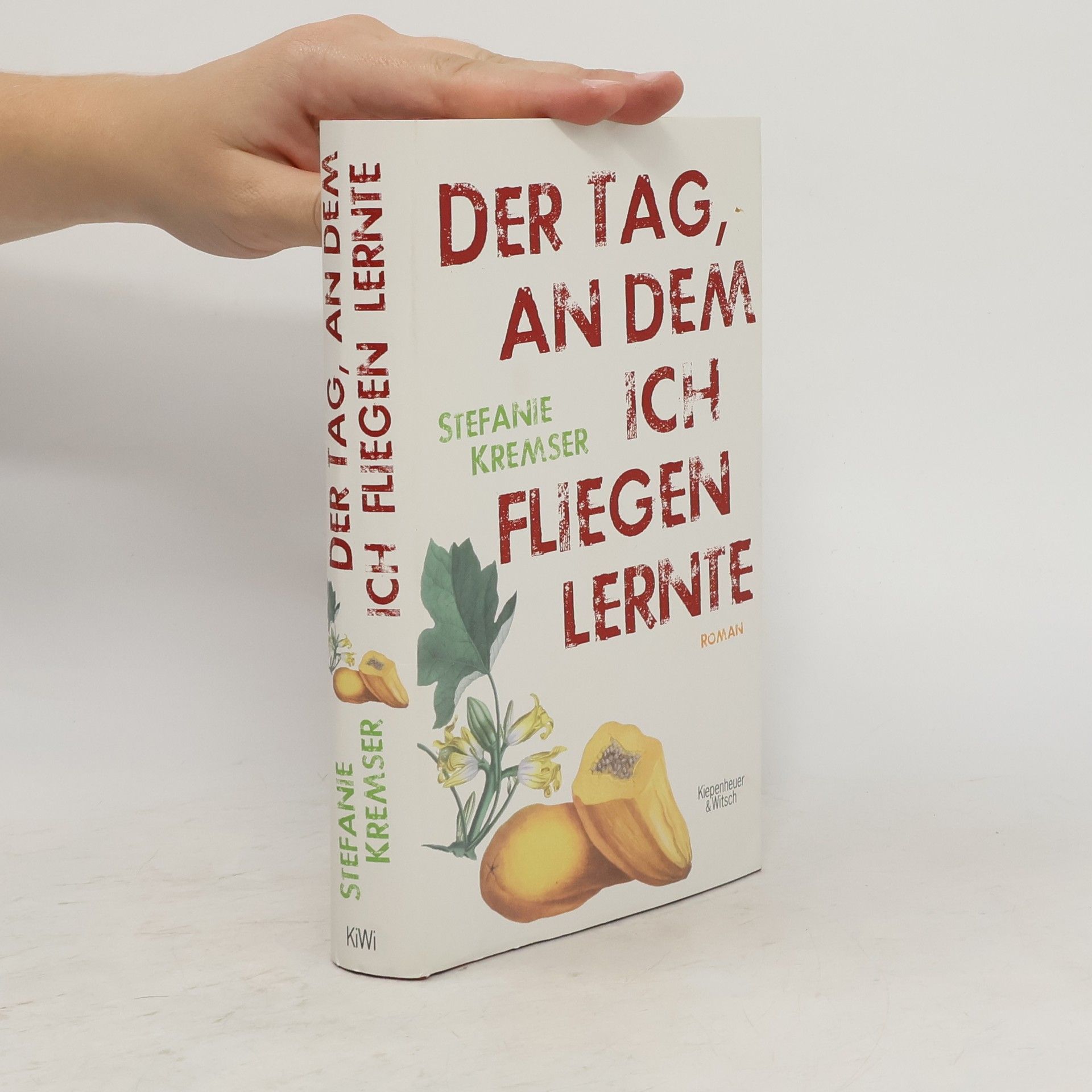 Stefanie Kremser Der Tag, an dem ich fliegen lernte