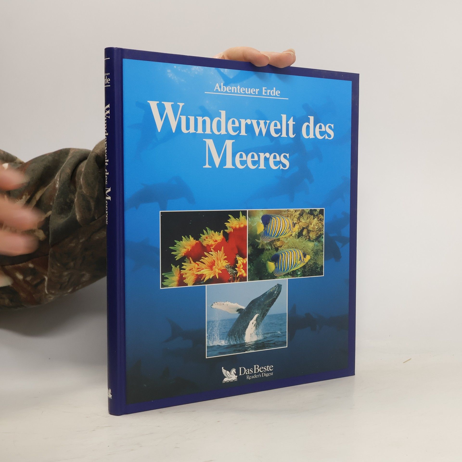 Angela Meder Wunderwelt des Meeres