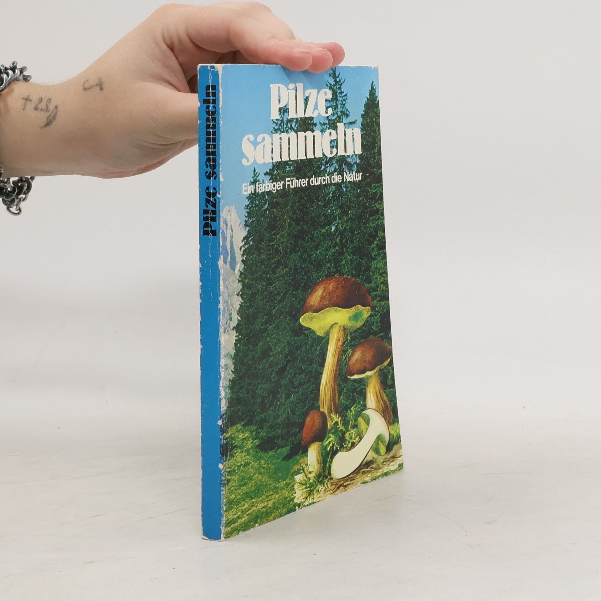 Collectif d'auteurs Pilze sammeln. Ein farbiger Führer durch die Natur