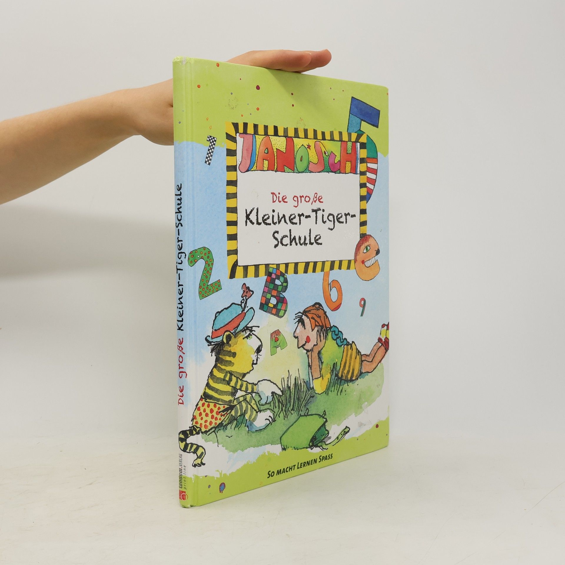 Autorenkollektiv Die große Kleiner-Tiger-Schule
