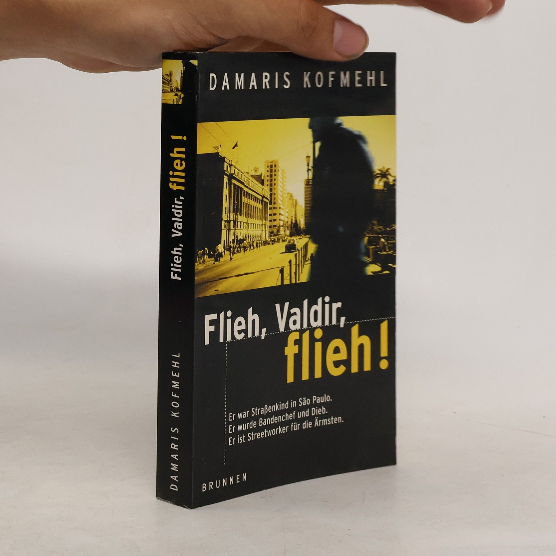 Damaris Kofmehl Flieh, Valdir, flieh!
