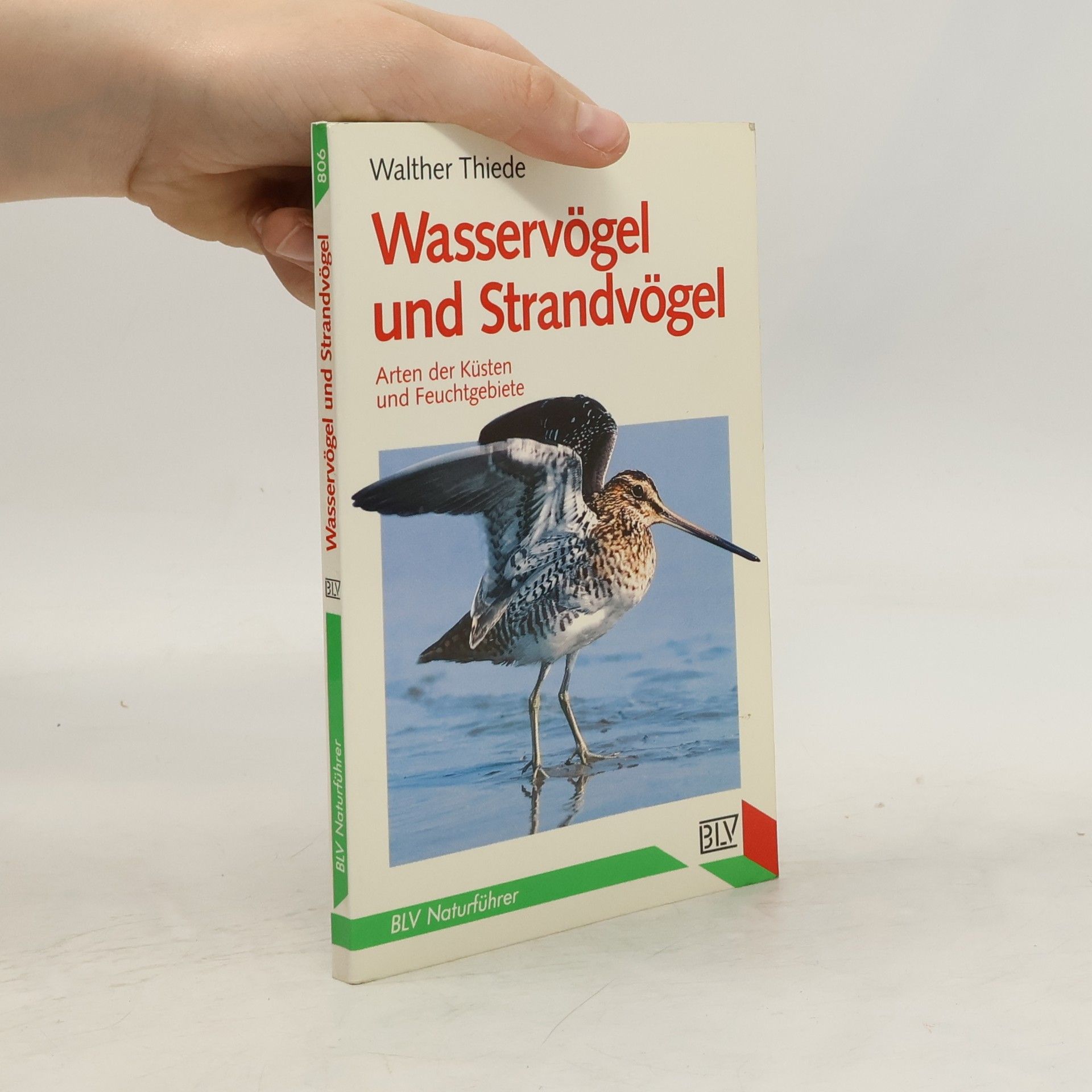 Walther Thiede Wasservögel und Strandvögel