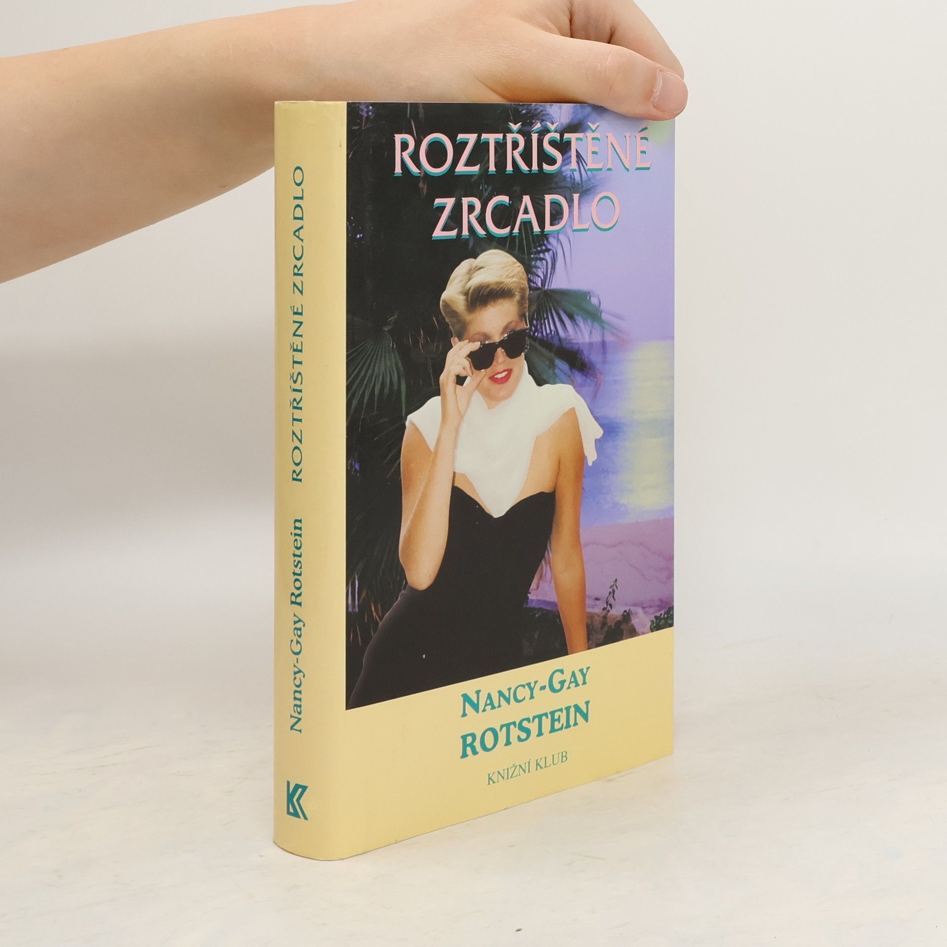 NancyGay Rotstein Roztříštěné zrcadlo
