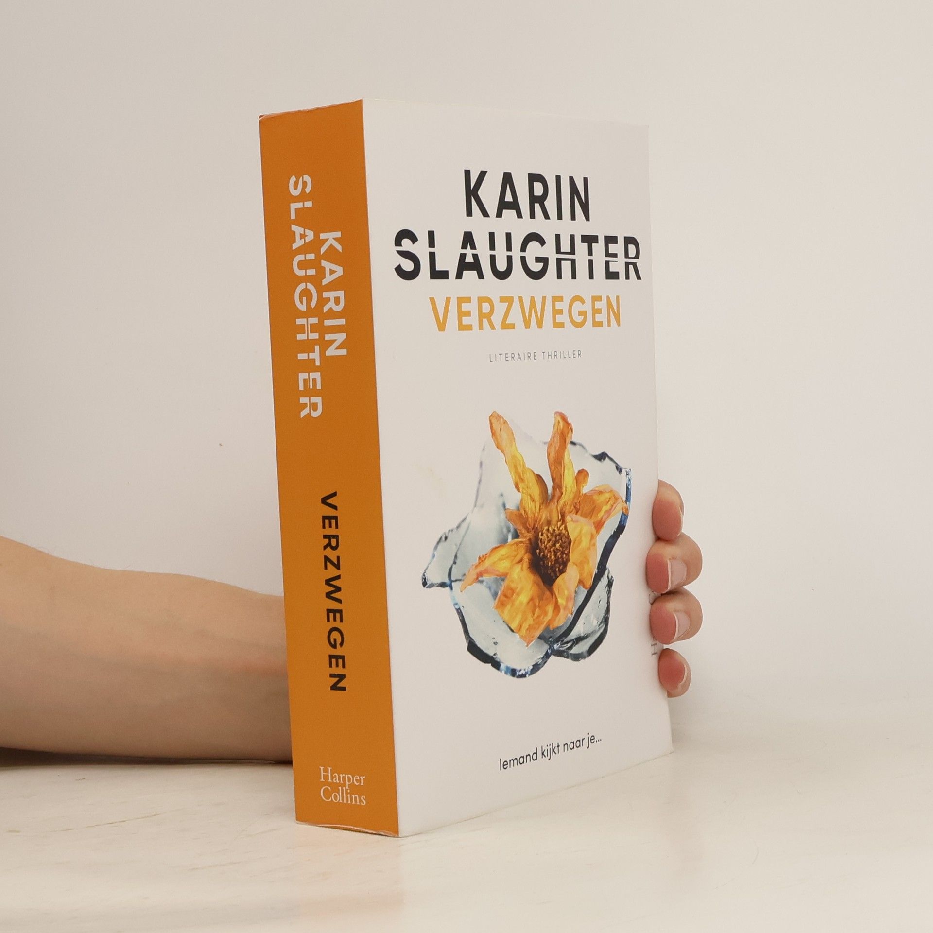 Karin Slaughter Will Trent - 13: Verzwegen