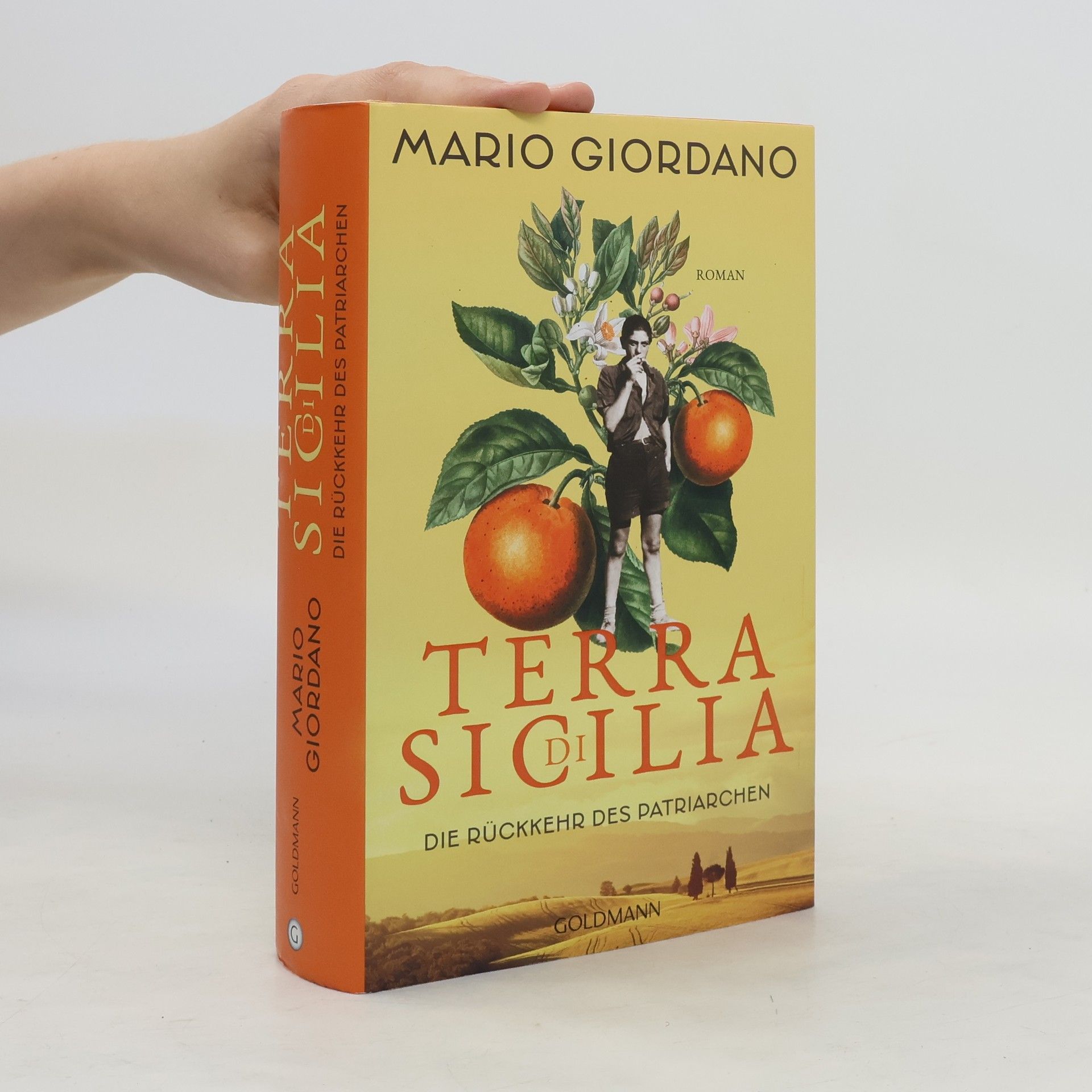 Mario Giordano Terra di Sicilia - die Rückkehr des Patriarchen