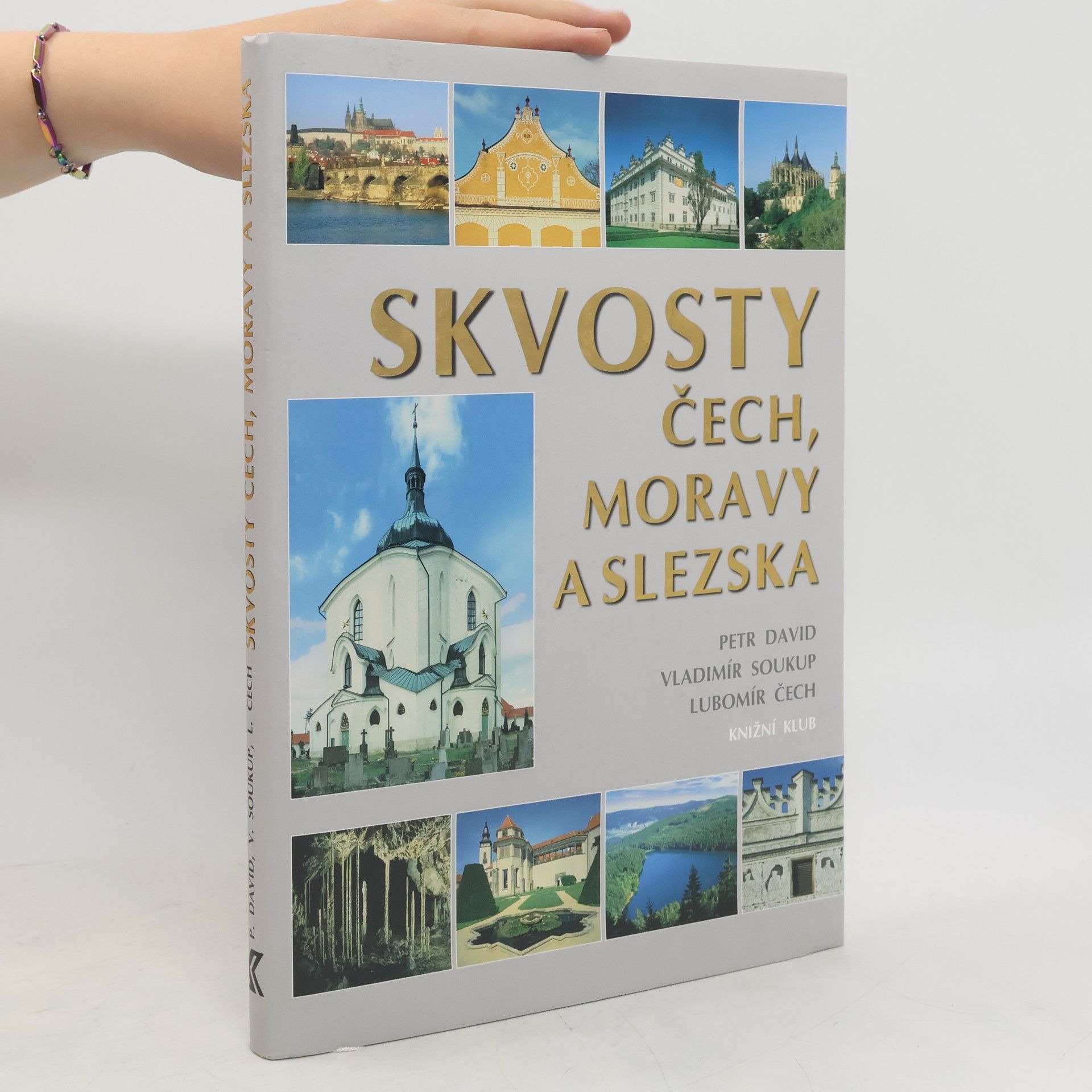 Petr David Skvosty Čech, Moravy a Slezska