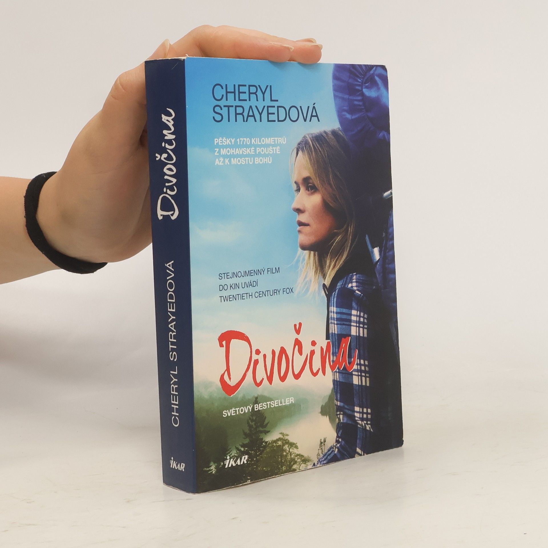 Cheryl Strayed Divočina. Pěšky 1770 kilometrů z Mohavské pouště až k mostu bohů