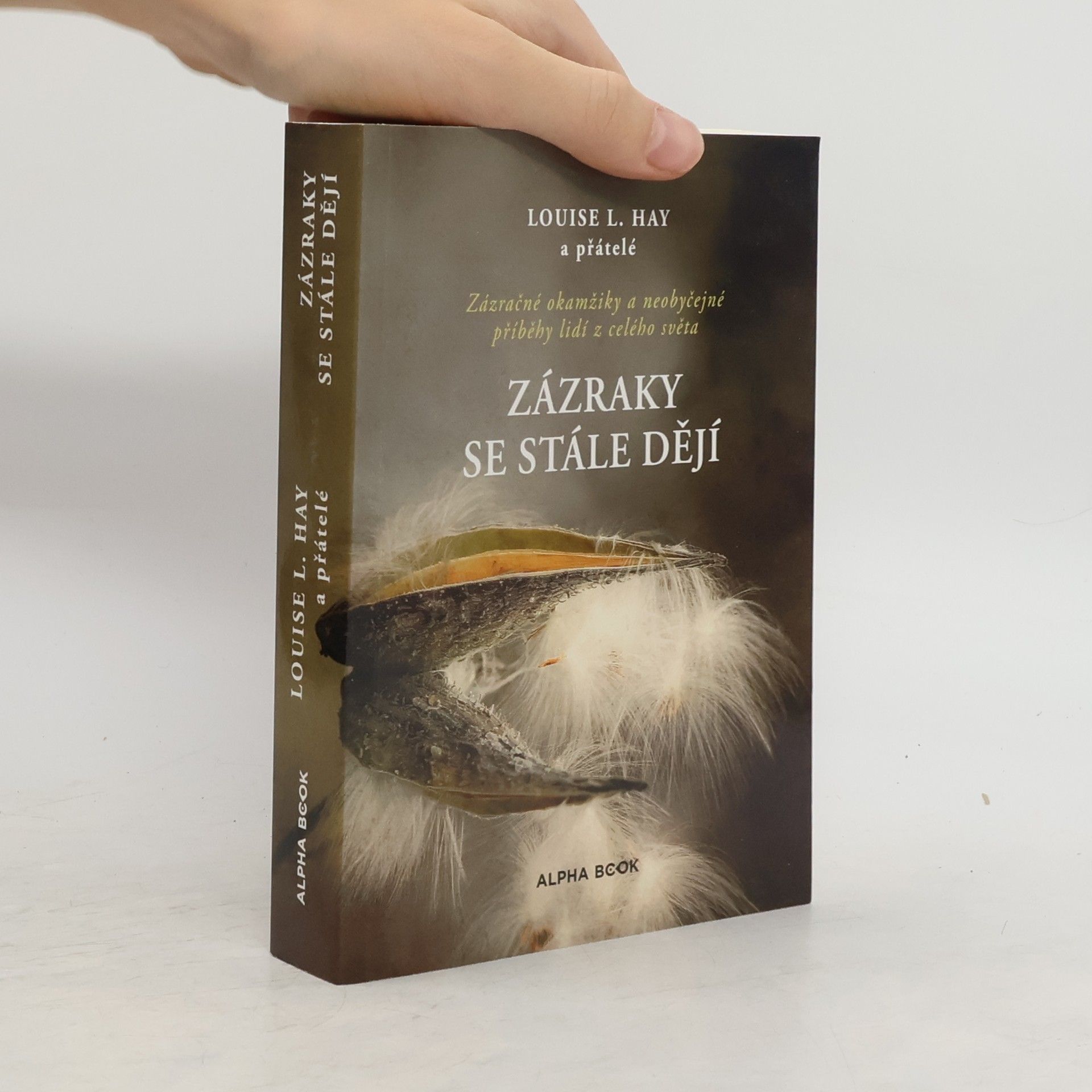 Iva Havlíčková Zázraky se stále dějí