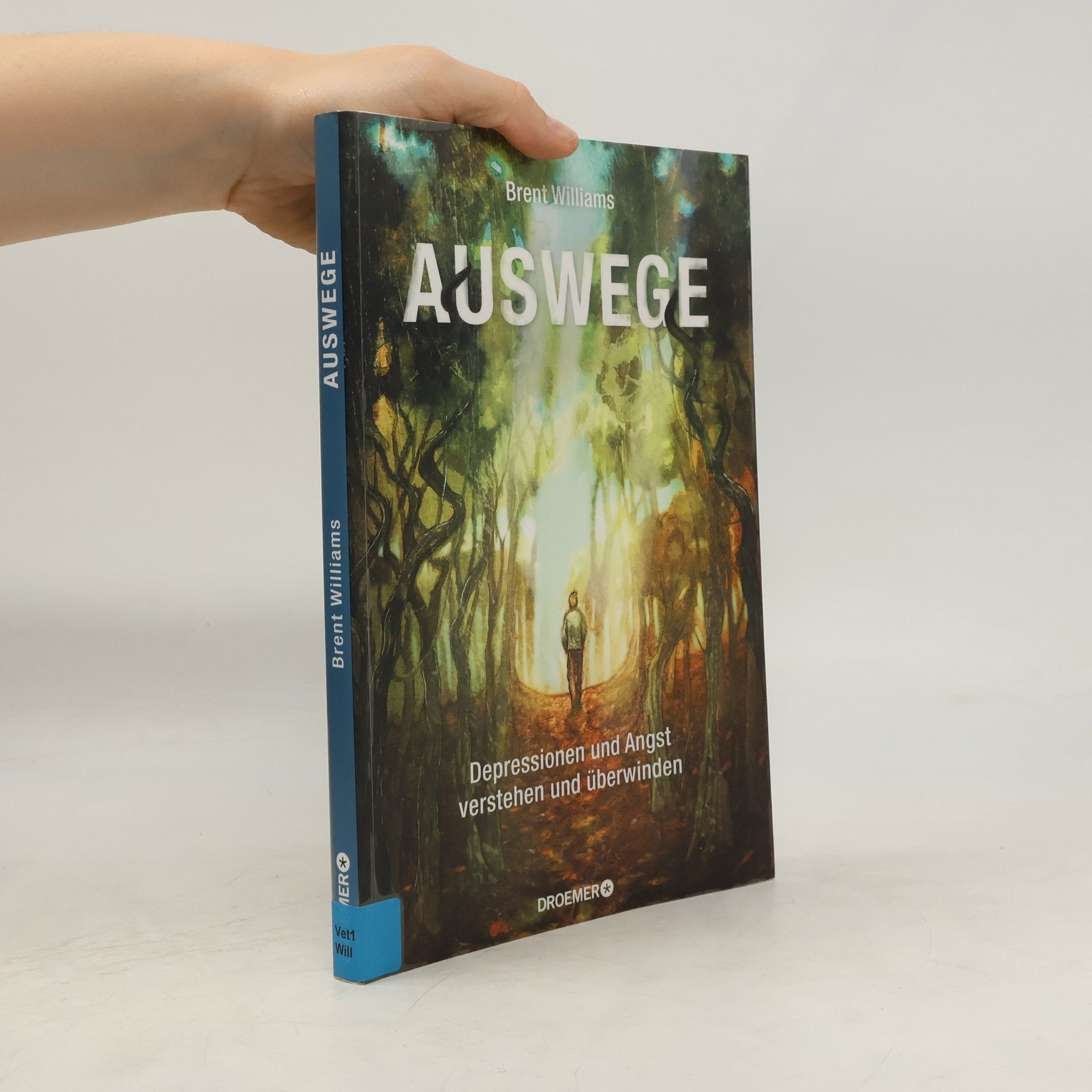 Brent Williams Auswege