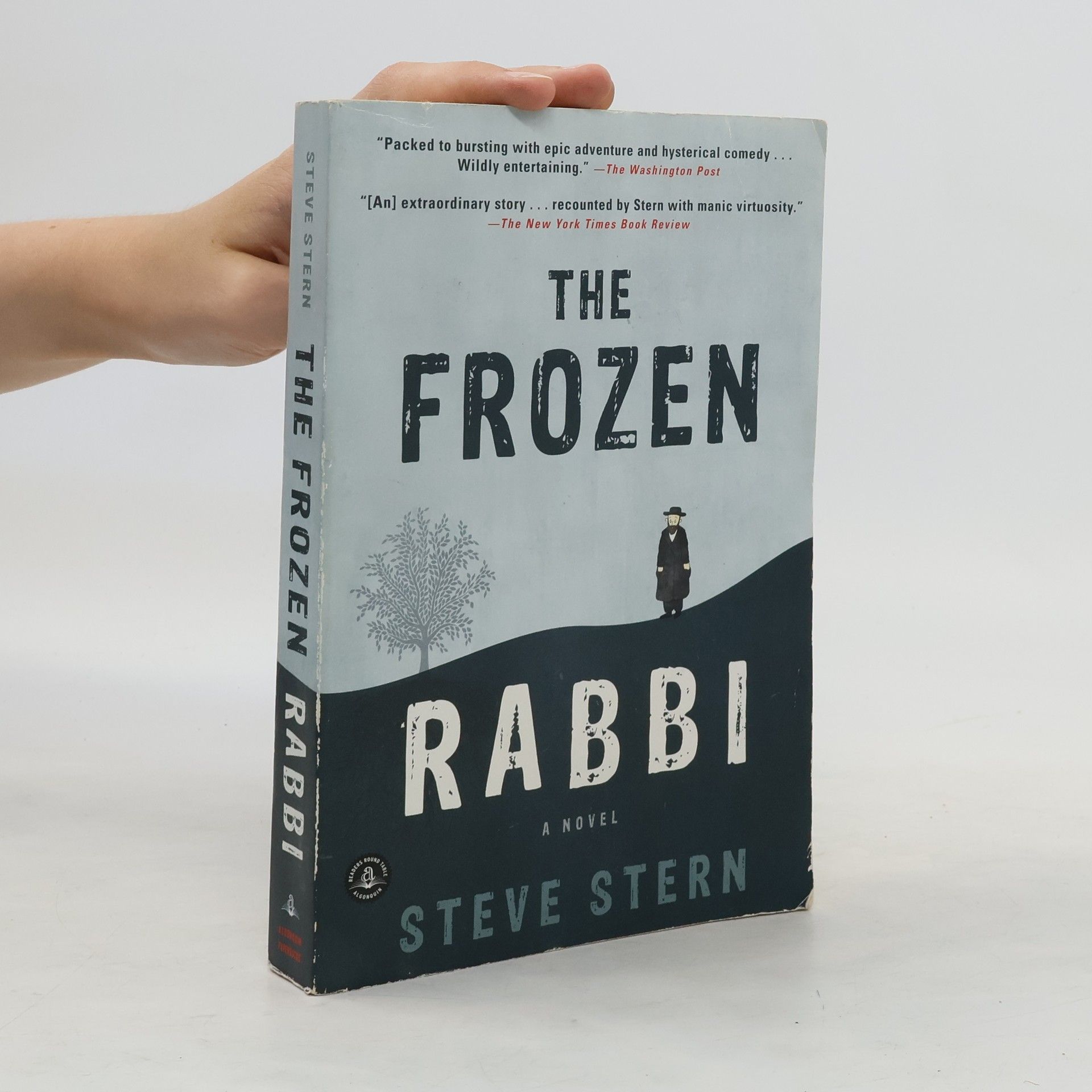 Steve Stern The Frozen Rabbi