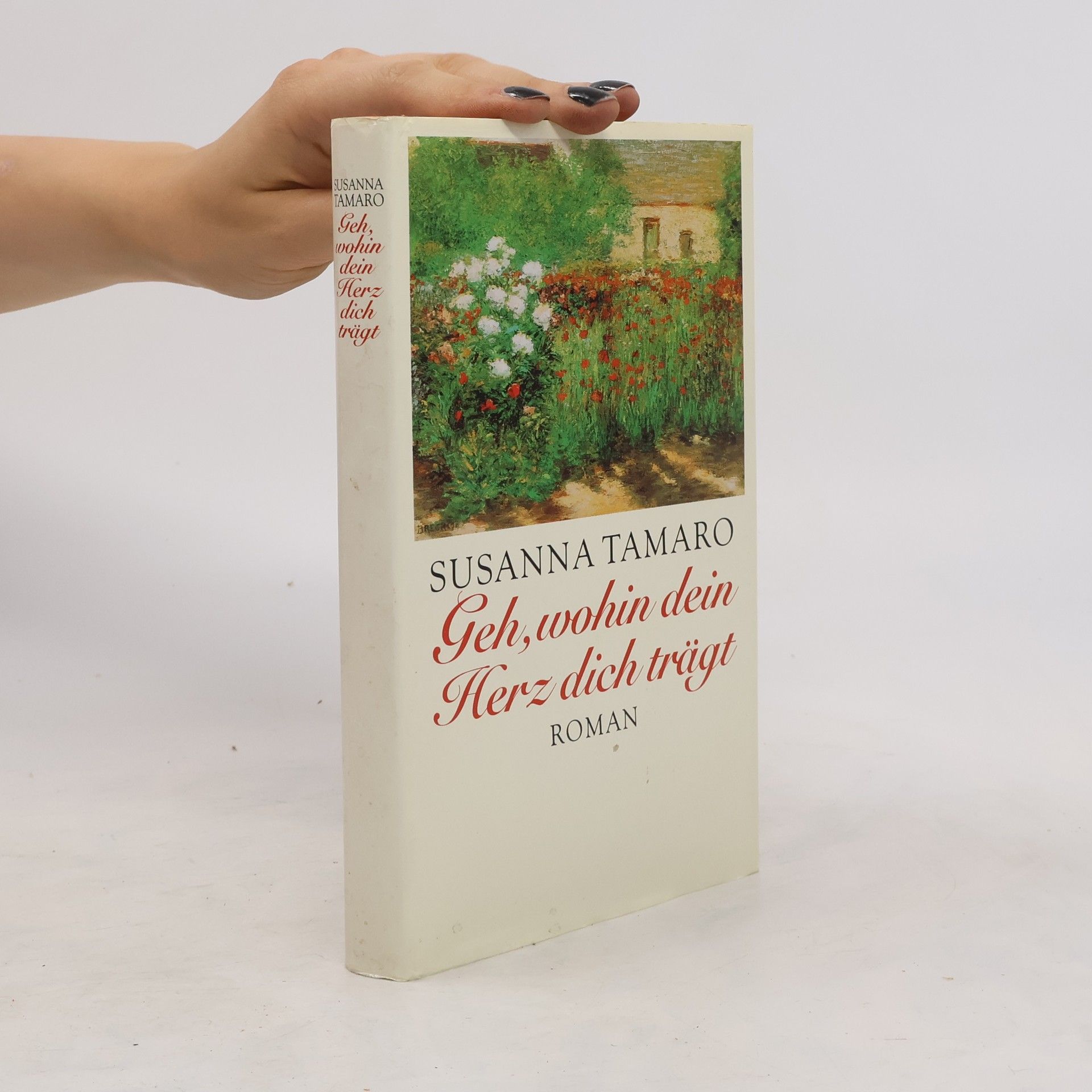 Susanna Tamaro Geh, wohin dein Herz dich trägt