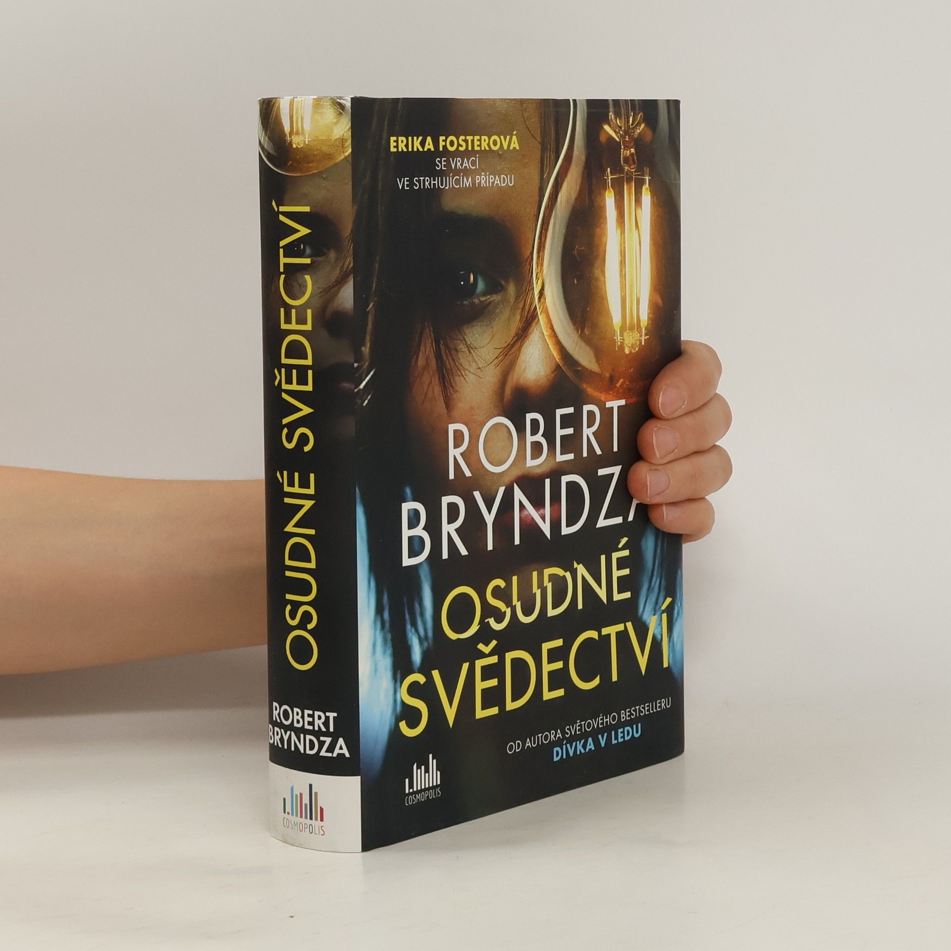 Robert Bryndza Osudné svědectví