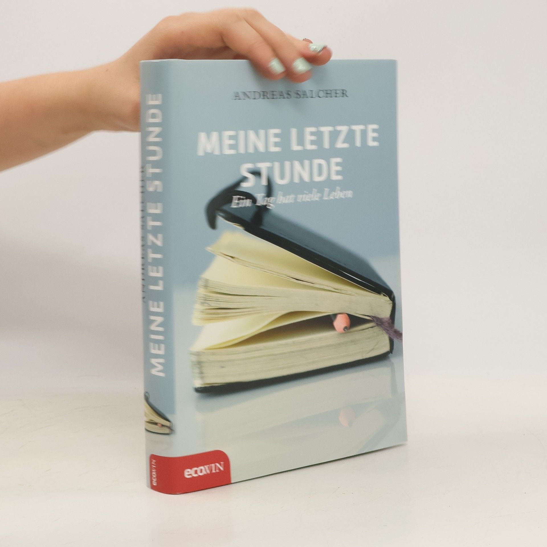 Andreas Salcher Meine letzte Stunde