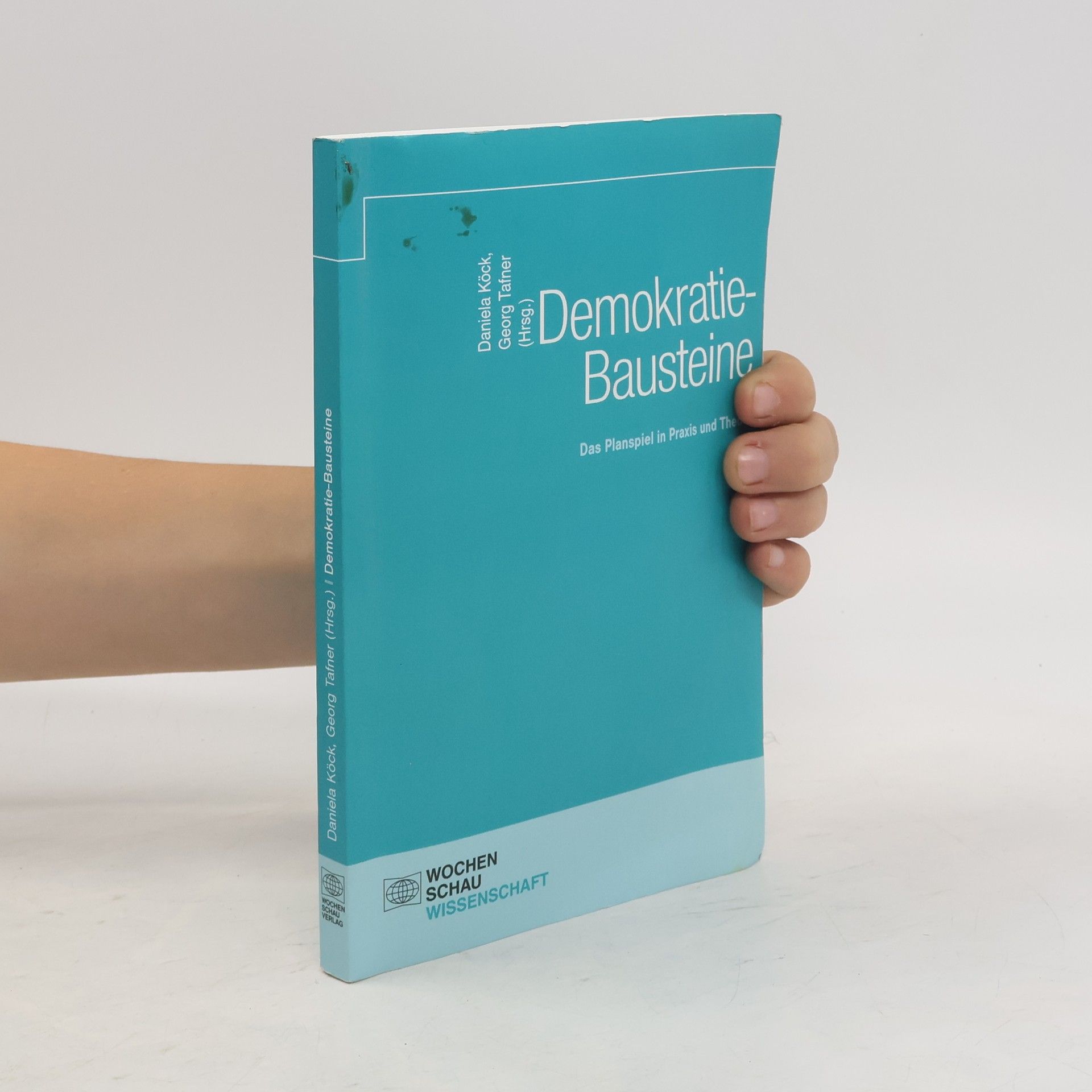 Daniela Köck Demokratie-Bausteine