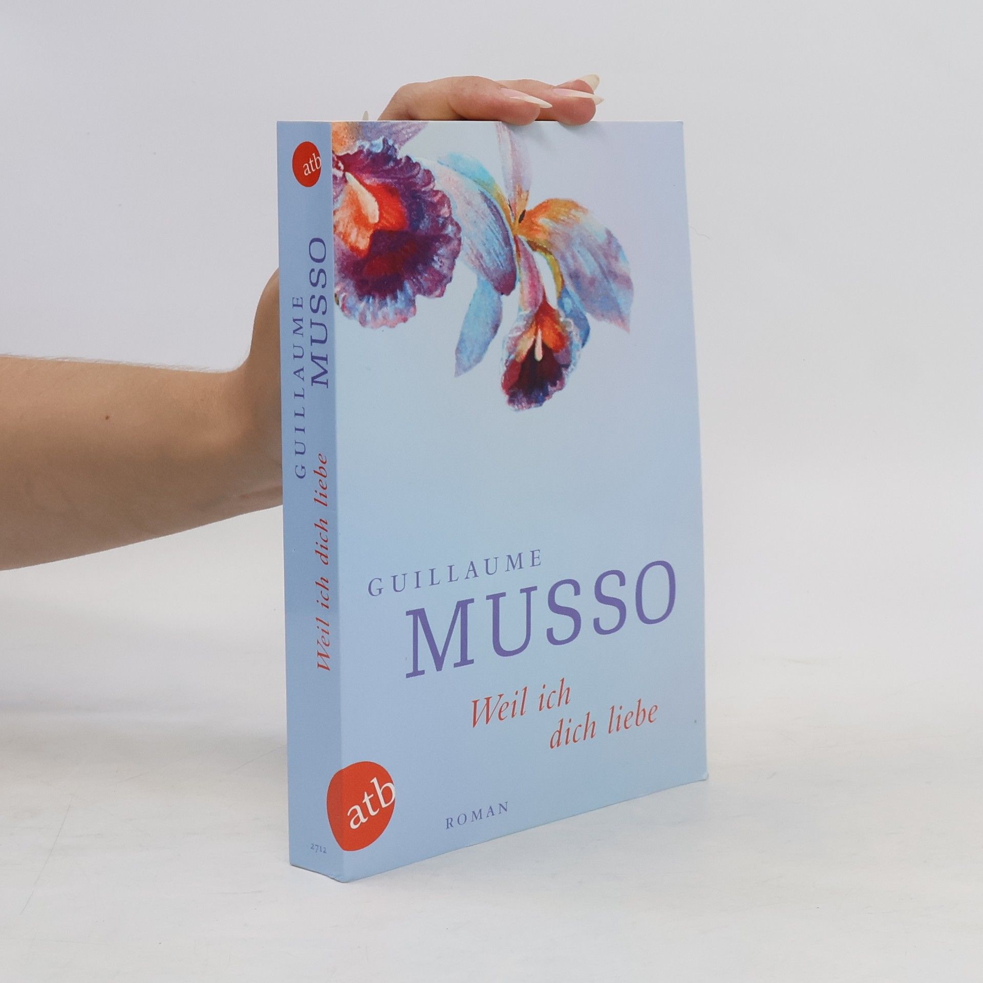Guillaume Musso Weil ich dich liebe