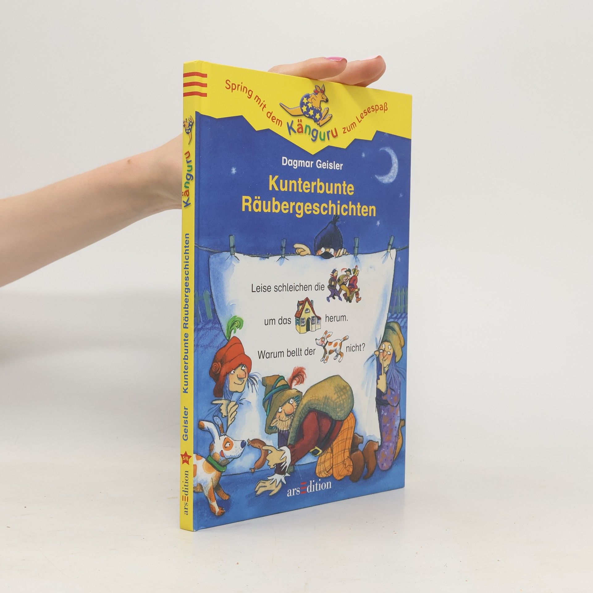 Dagmar Geisler Kunterbunte Räubergeschichten