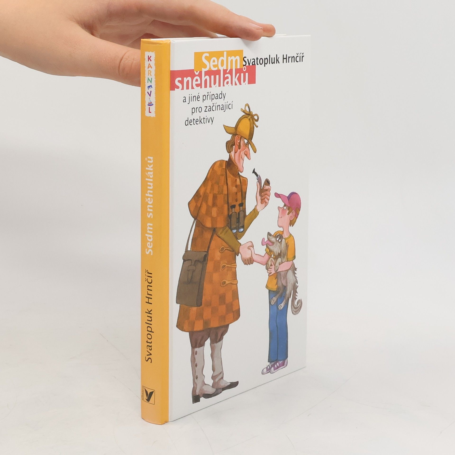 Sedm sněhuláků a jiné případy pro začínající detektivy