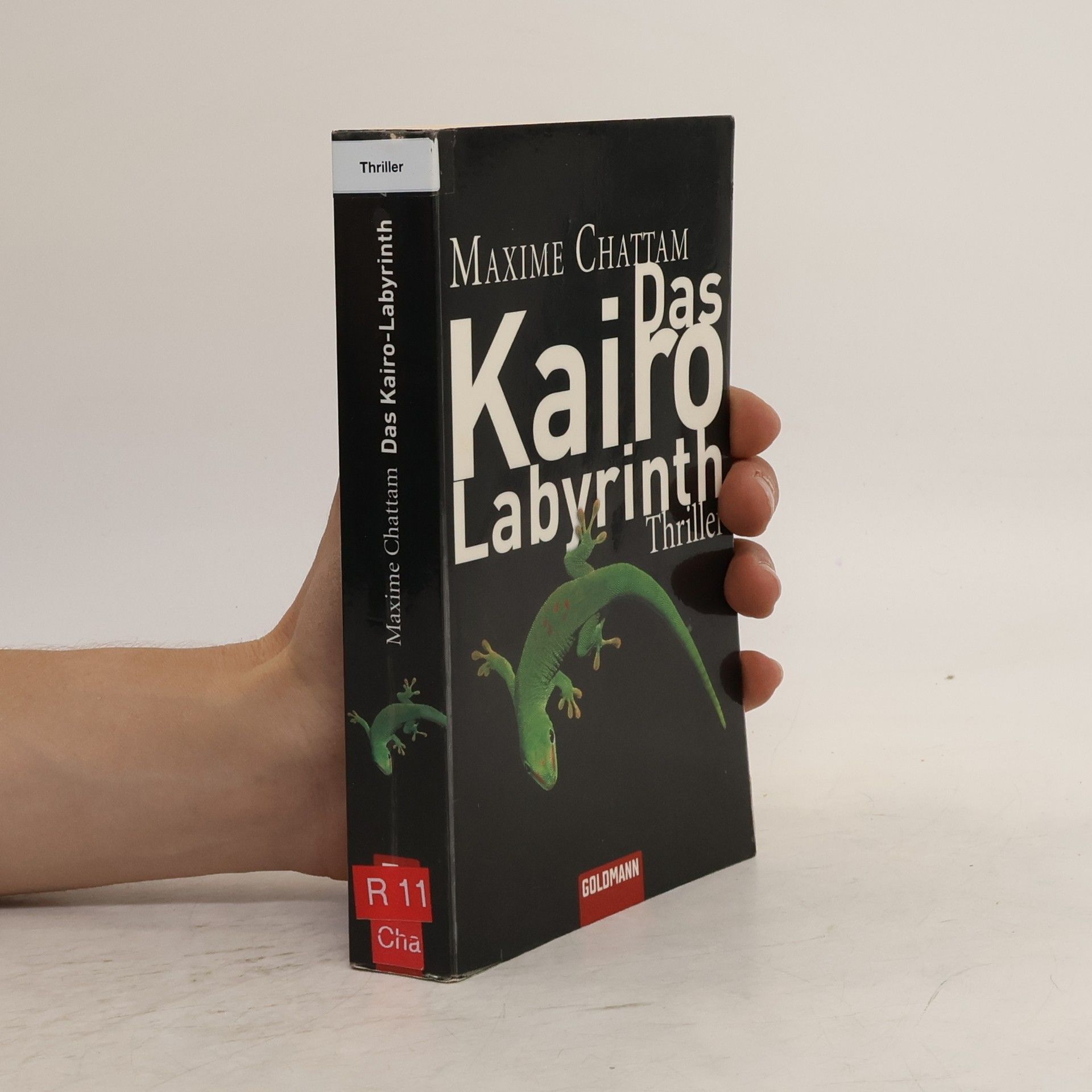 Maxime Chattam Das Kairo-Labyrinth