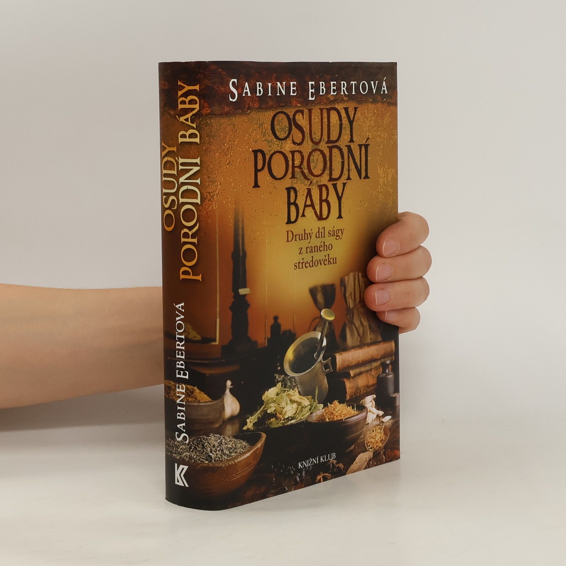 Sabine Ebert Osudy porodní báby