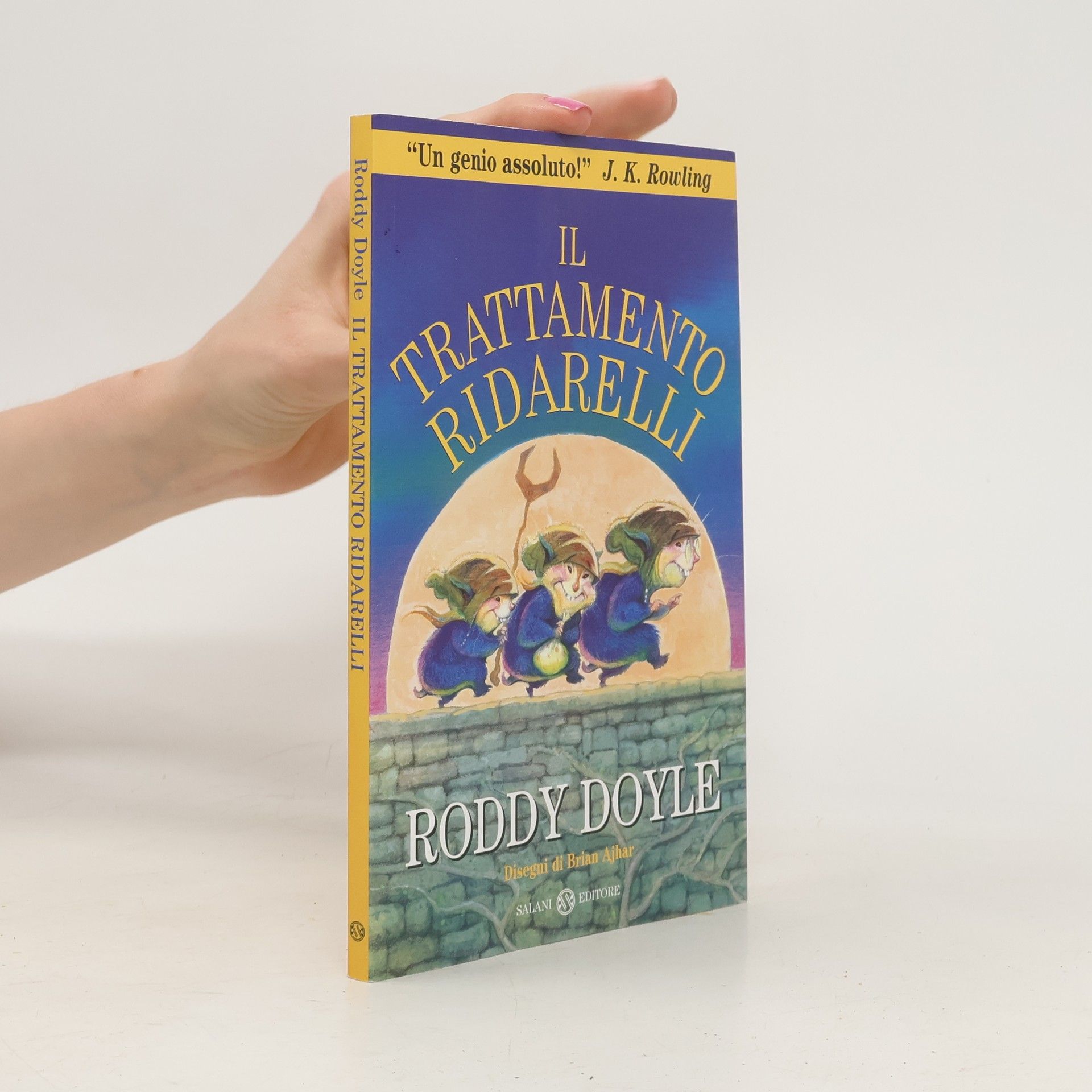 Roddy Doyle Il trattamento Ridarelli