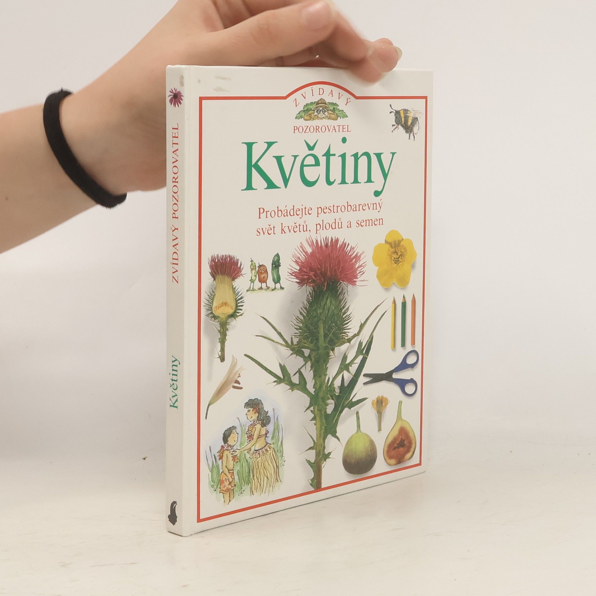 David Burnie Květiny