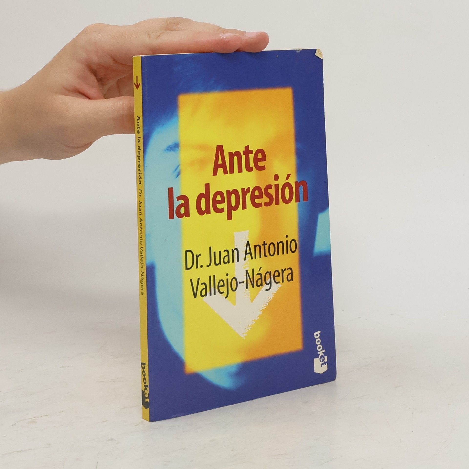 Juan Antonio Vallejo-Nágera Ante la depresión