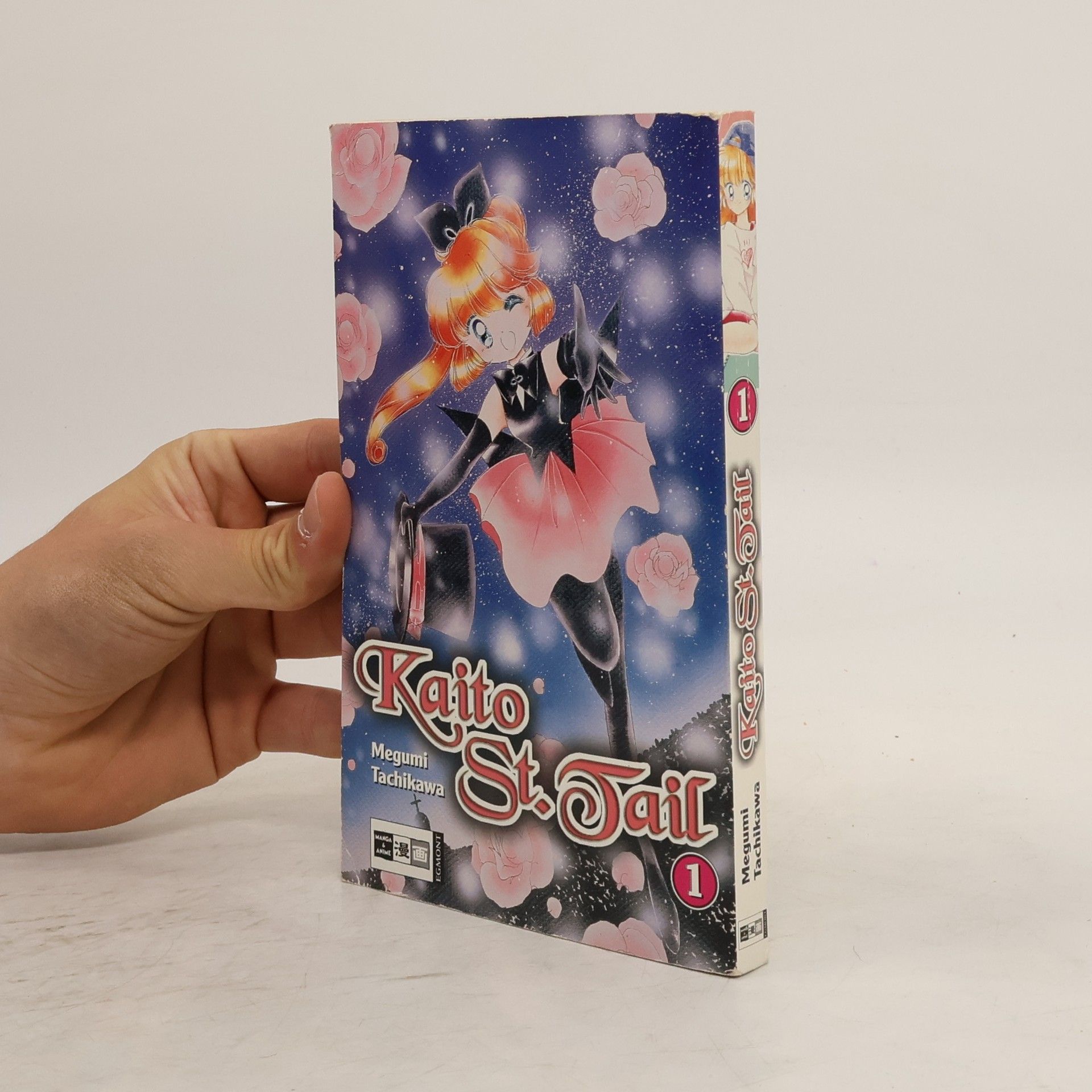 Megumi Tachikawa Kaito St. Tail 1