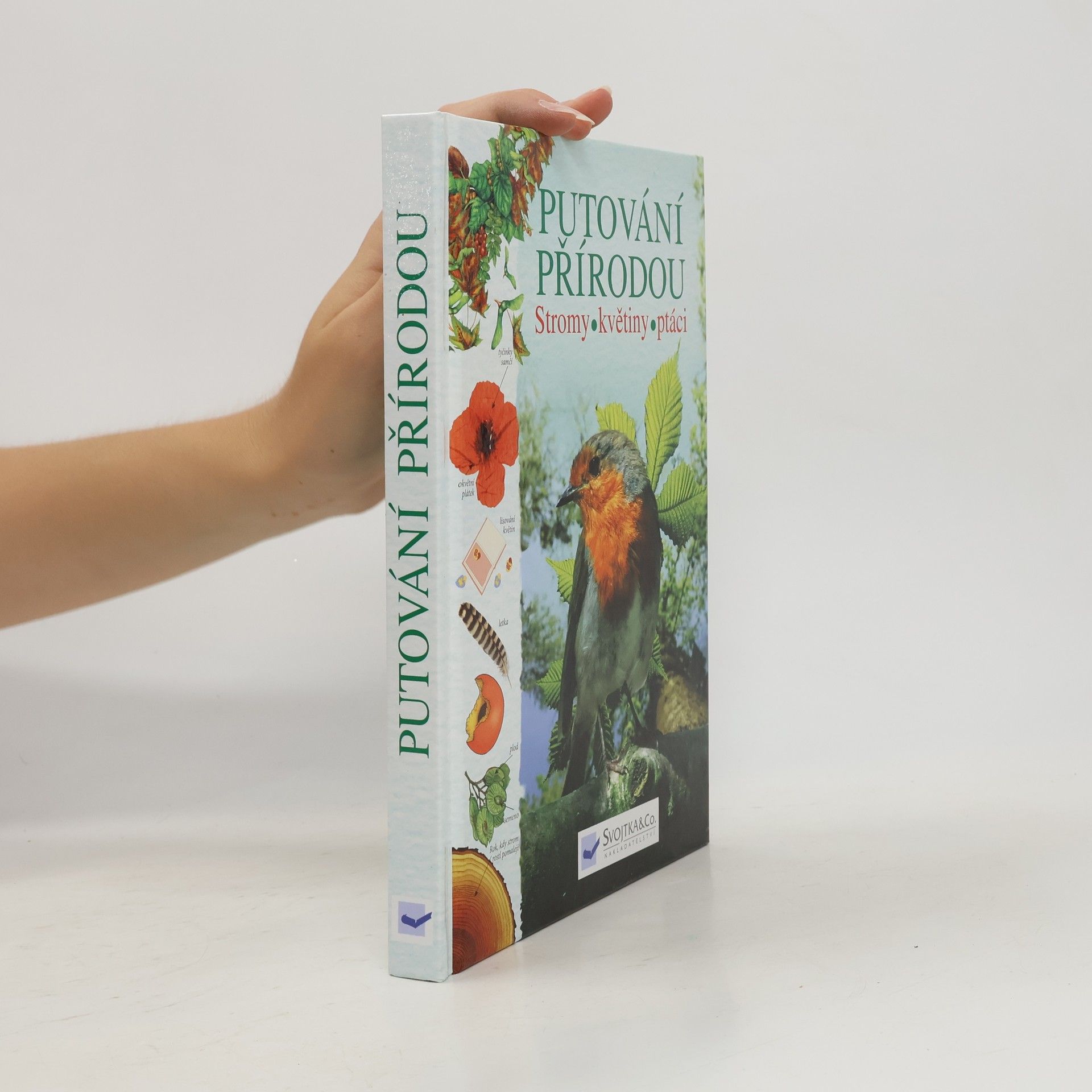 Kolektiv autorů Putování přírodou: Stromy, květiny, ptáci