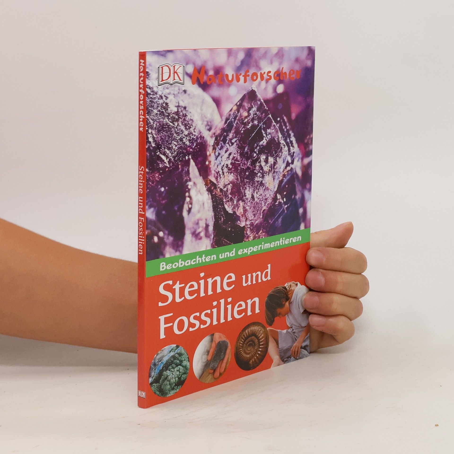 Autorenkollektiv Steine und Fossilien