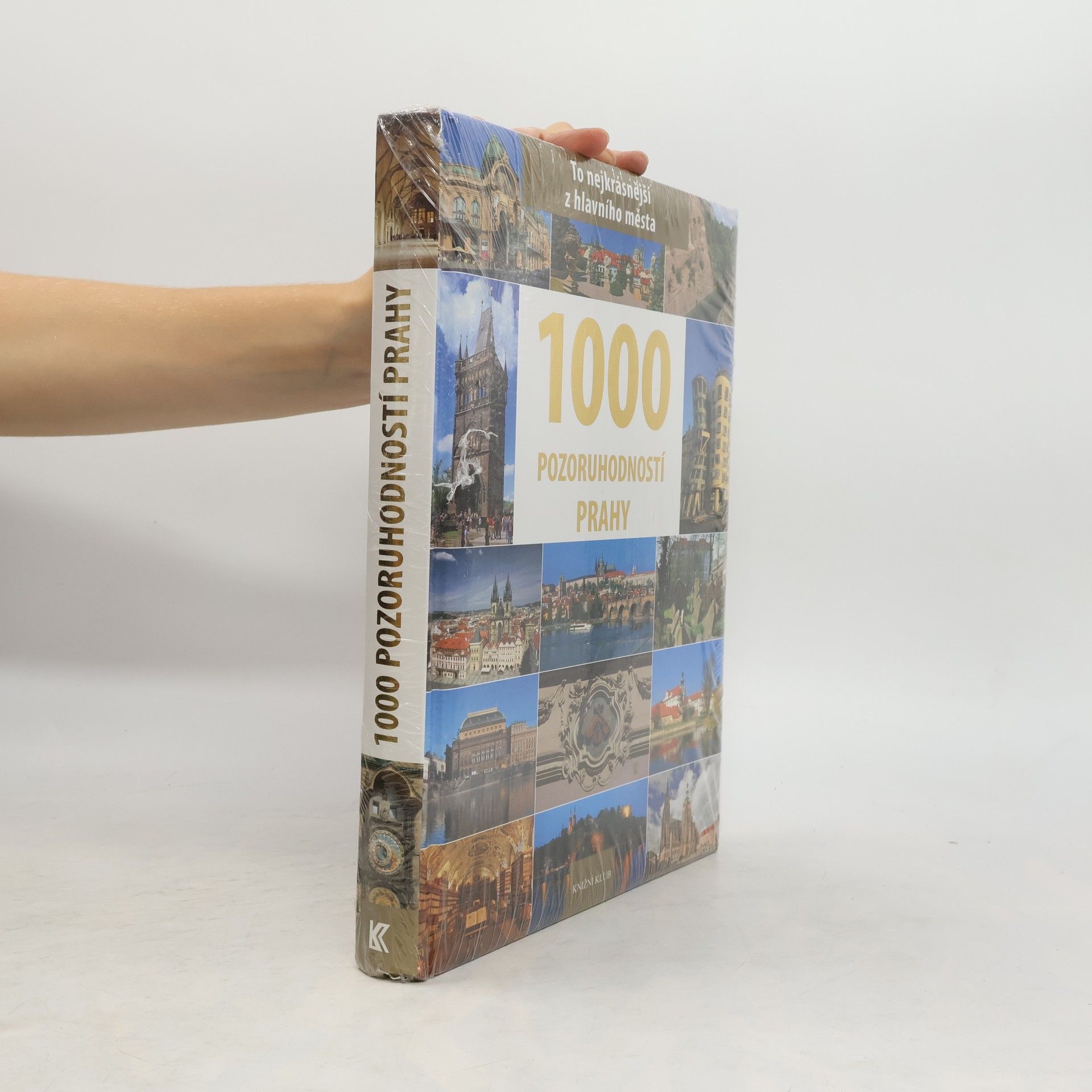 P. David 1000 pozoruhodností Prahy