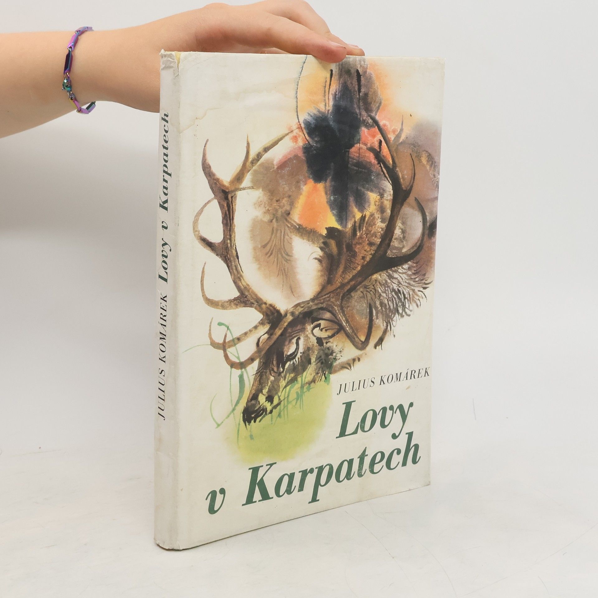 Julius Komárek Lovy v Karpatech
