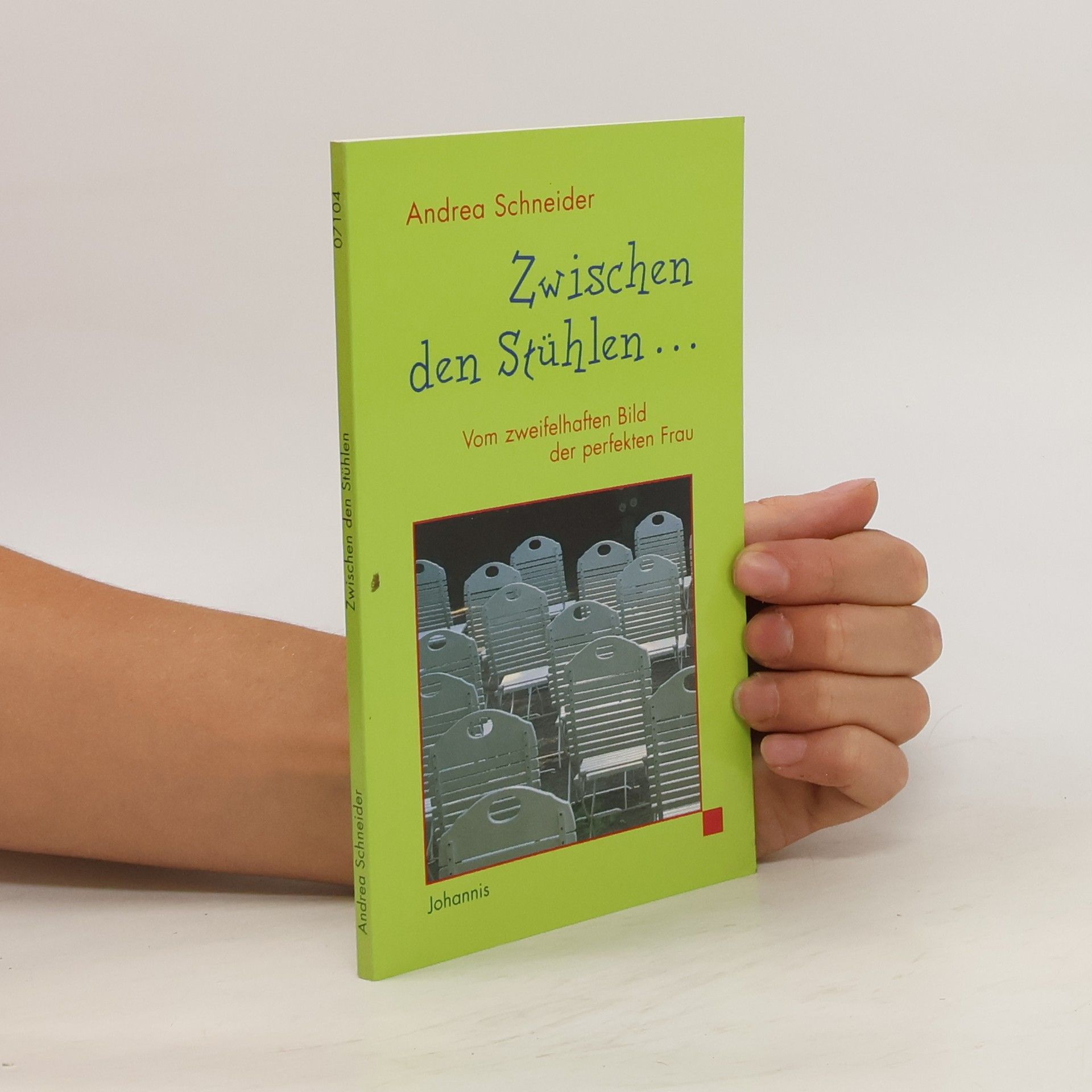 Andrea Schneider Zwischen den Stühlen