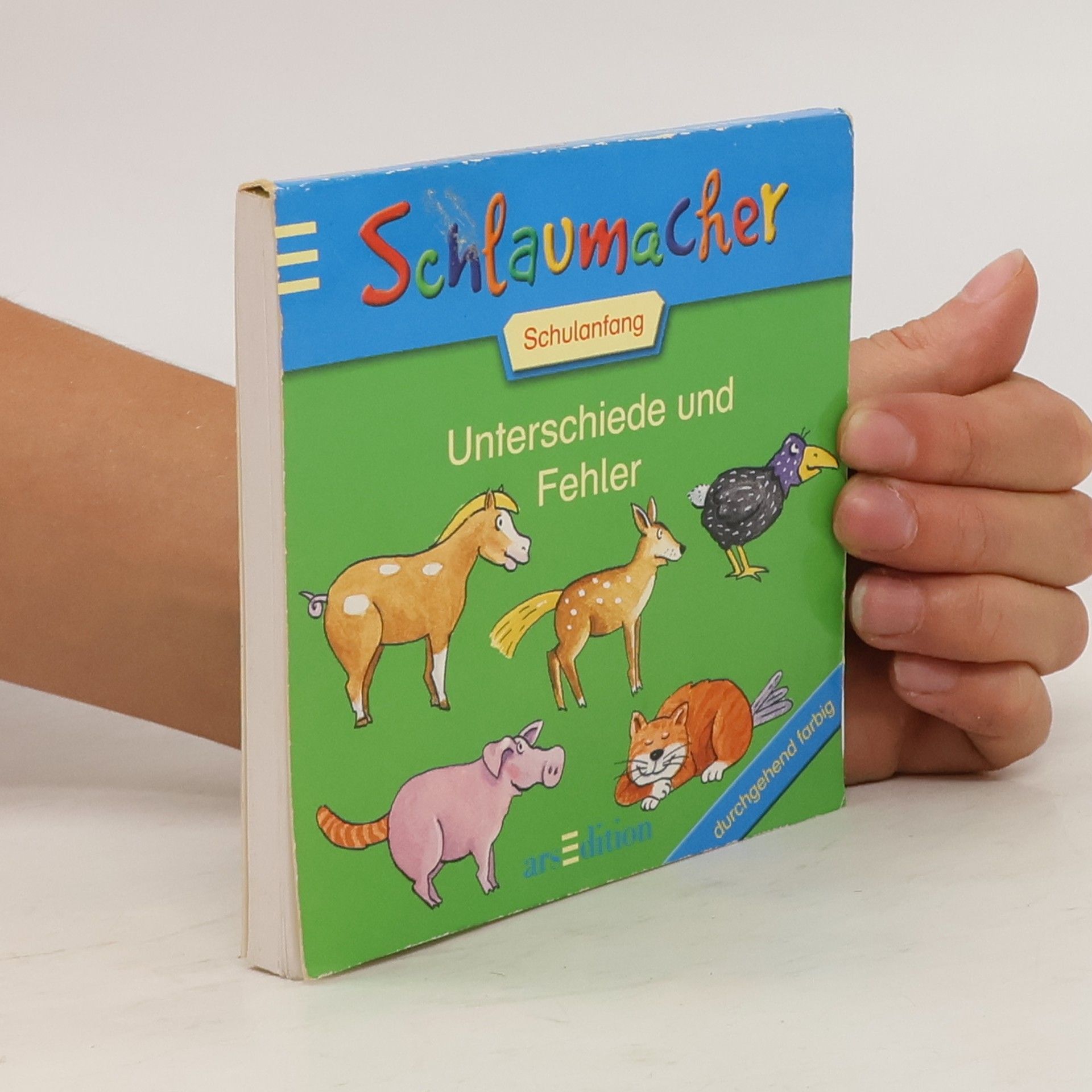 kolektiv Unterschiede und Fehler