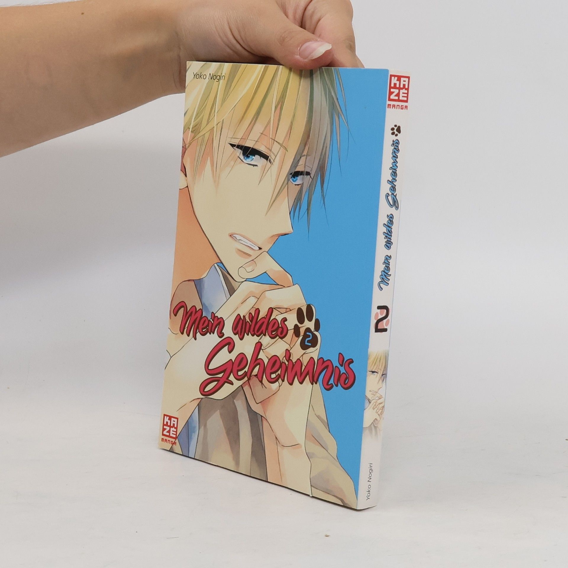 Yoko Nogiri Mein wildes Geheimnis 2